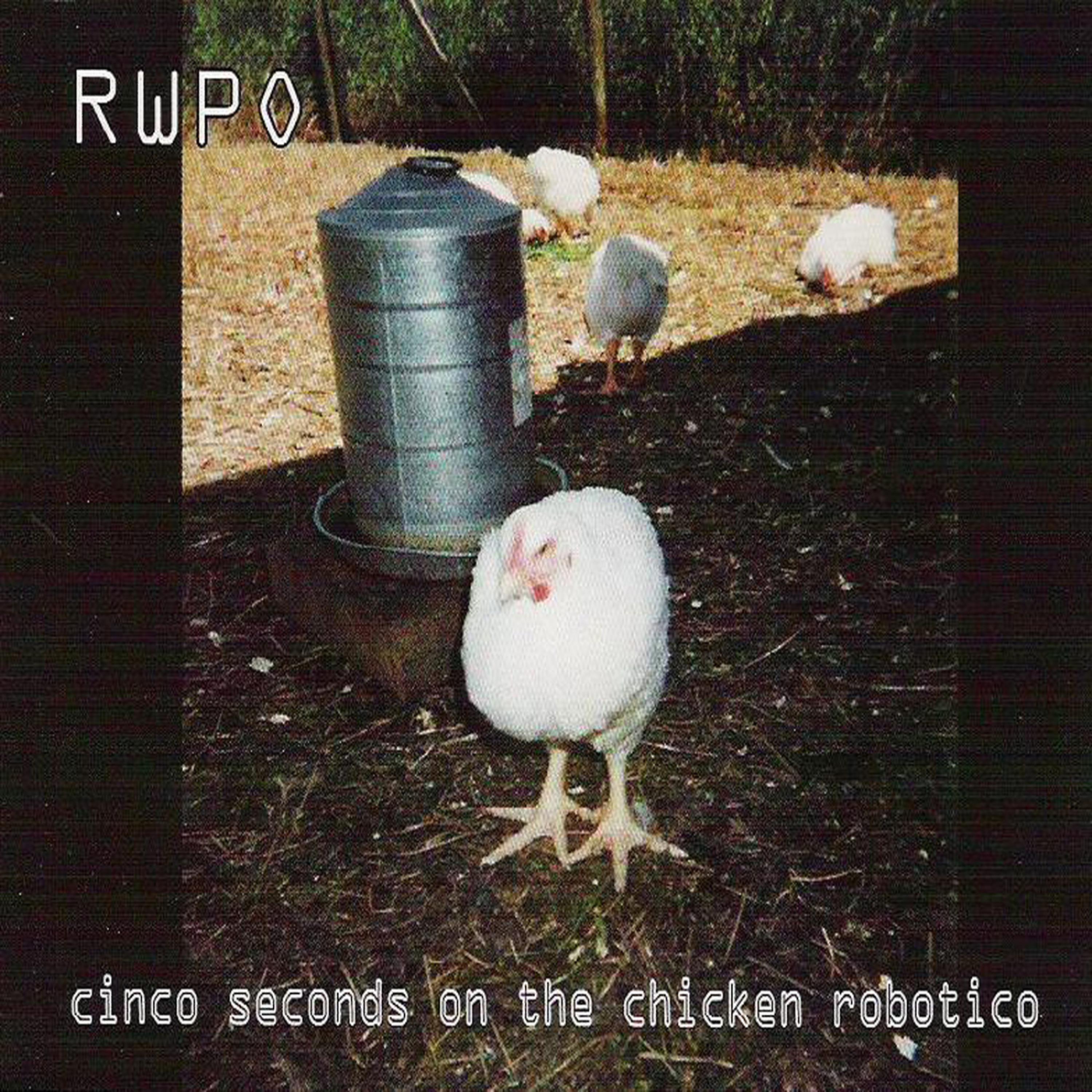 Постер альбома Cinco Seconds on the Chicken Robotico