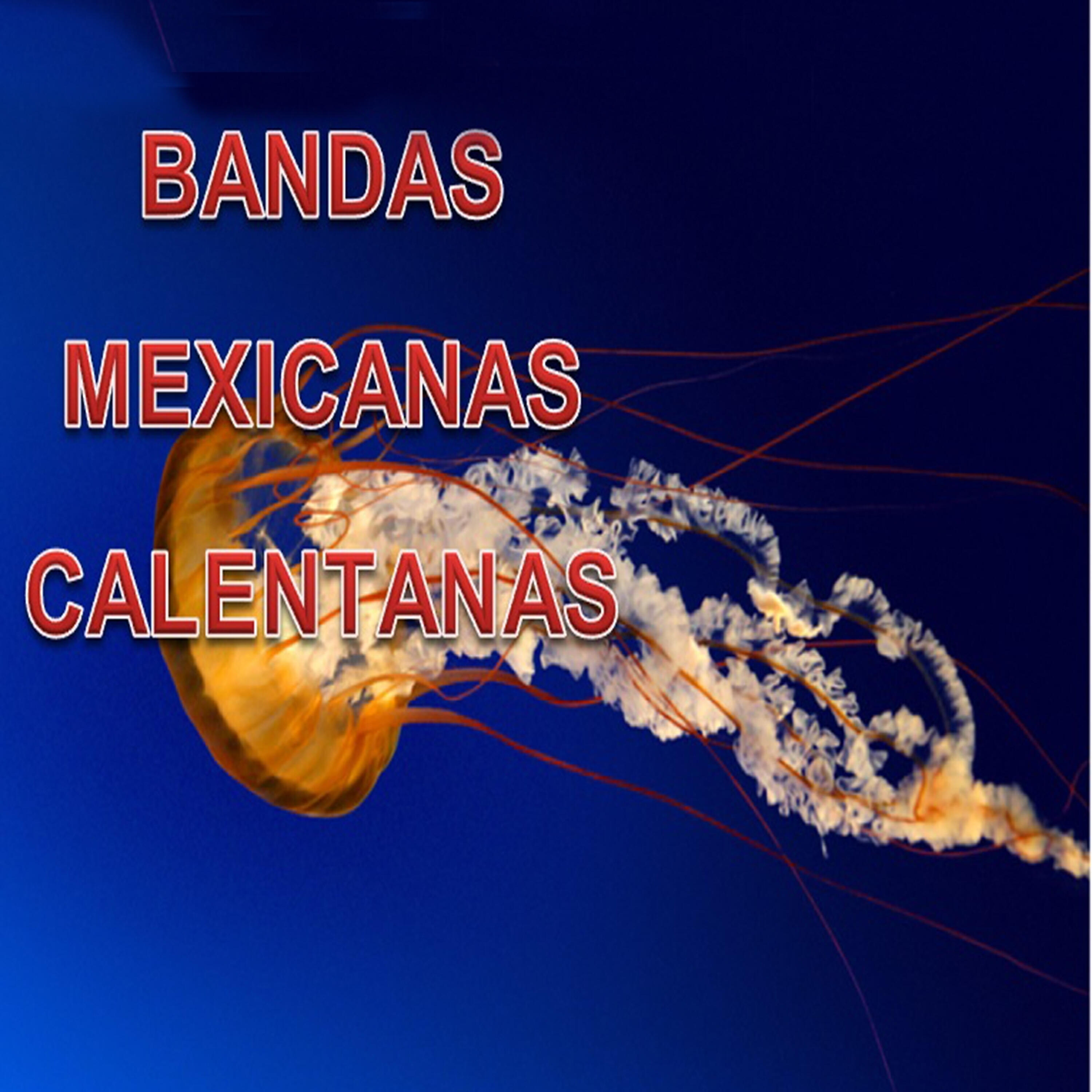 Banda Plata De Oro - Te Tienes Que Ir Con el Diablo