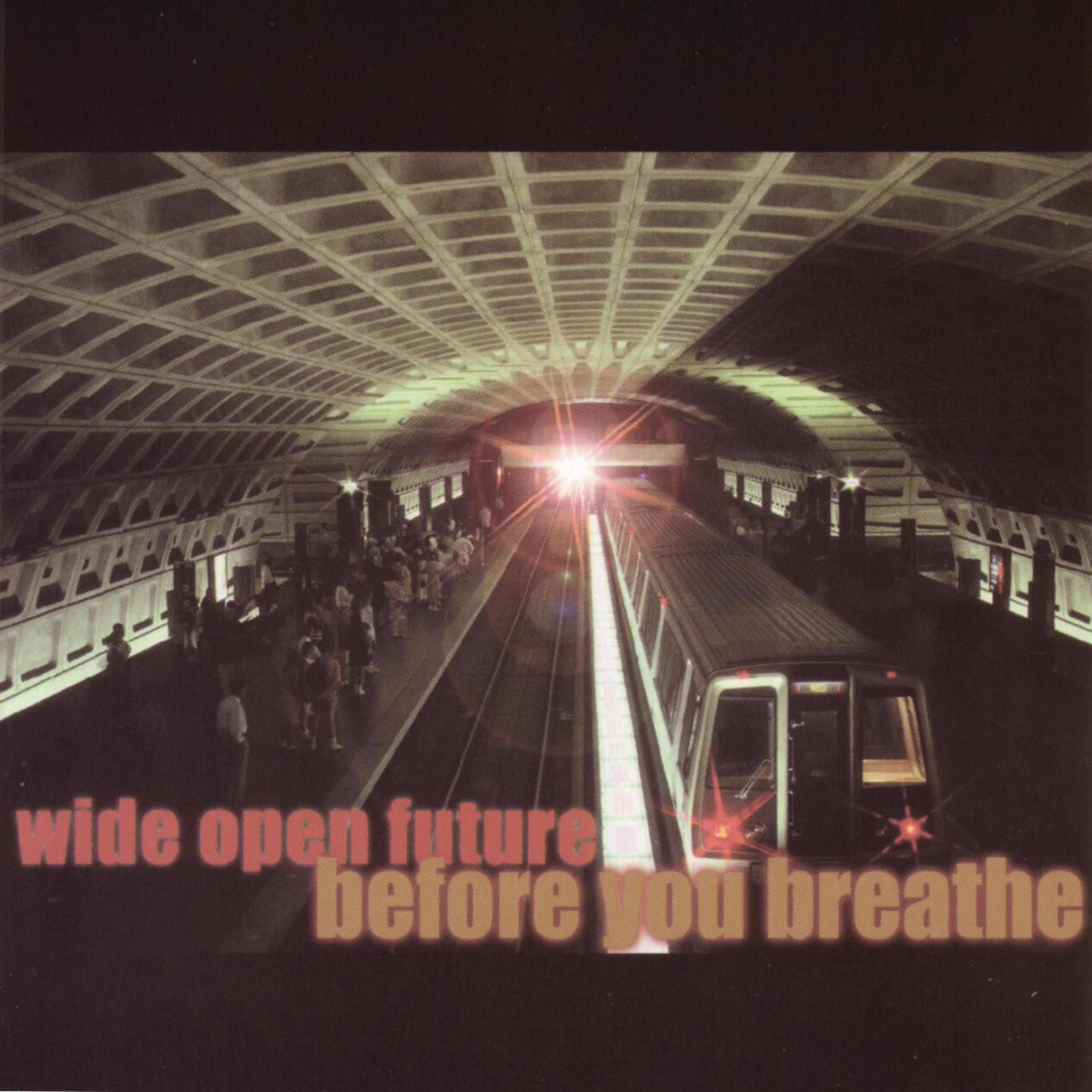 Постер альбома Wide Open Future