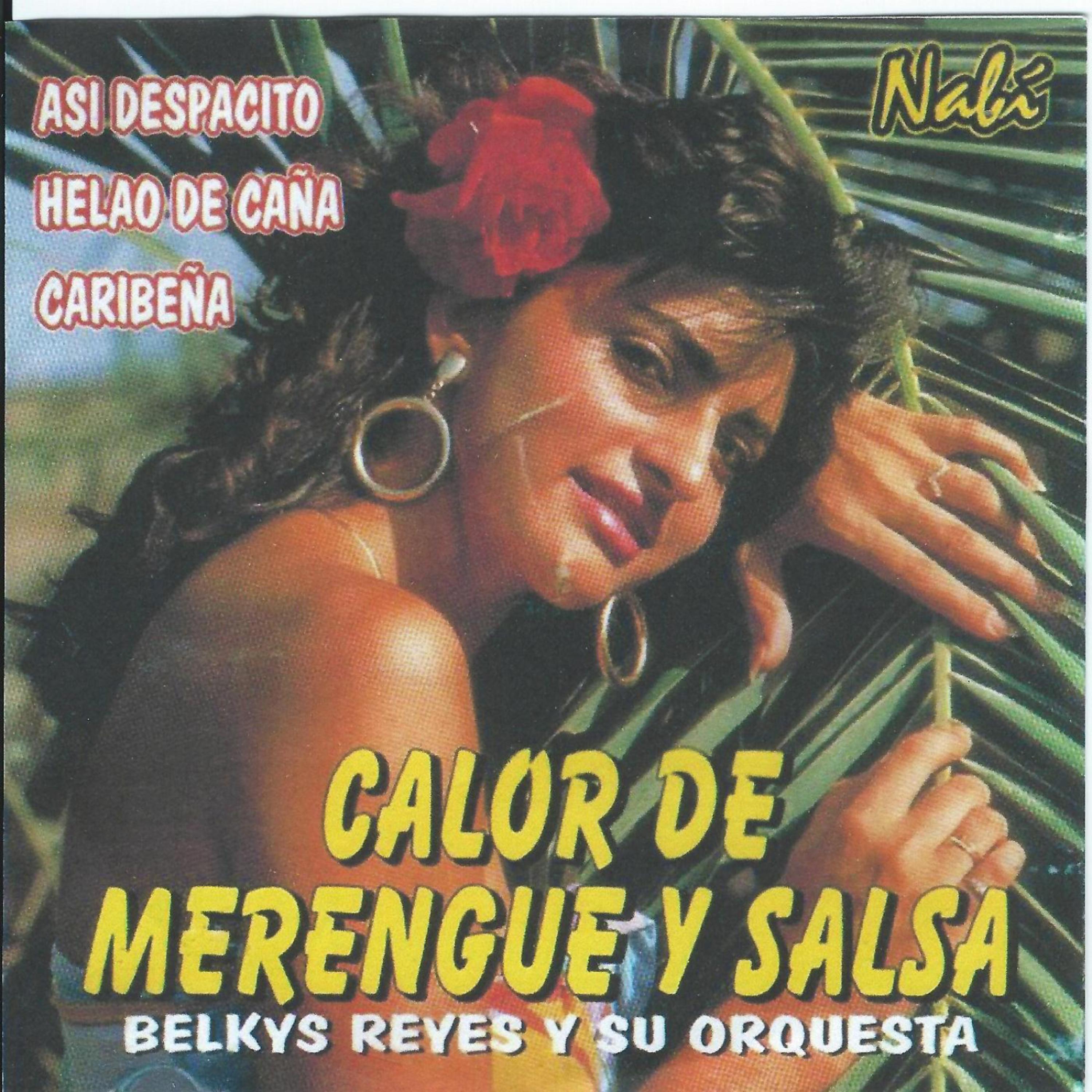 Постер альбома Calor De Merengue y Salsa