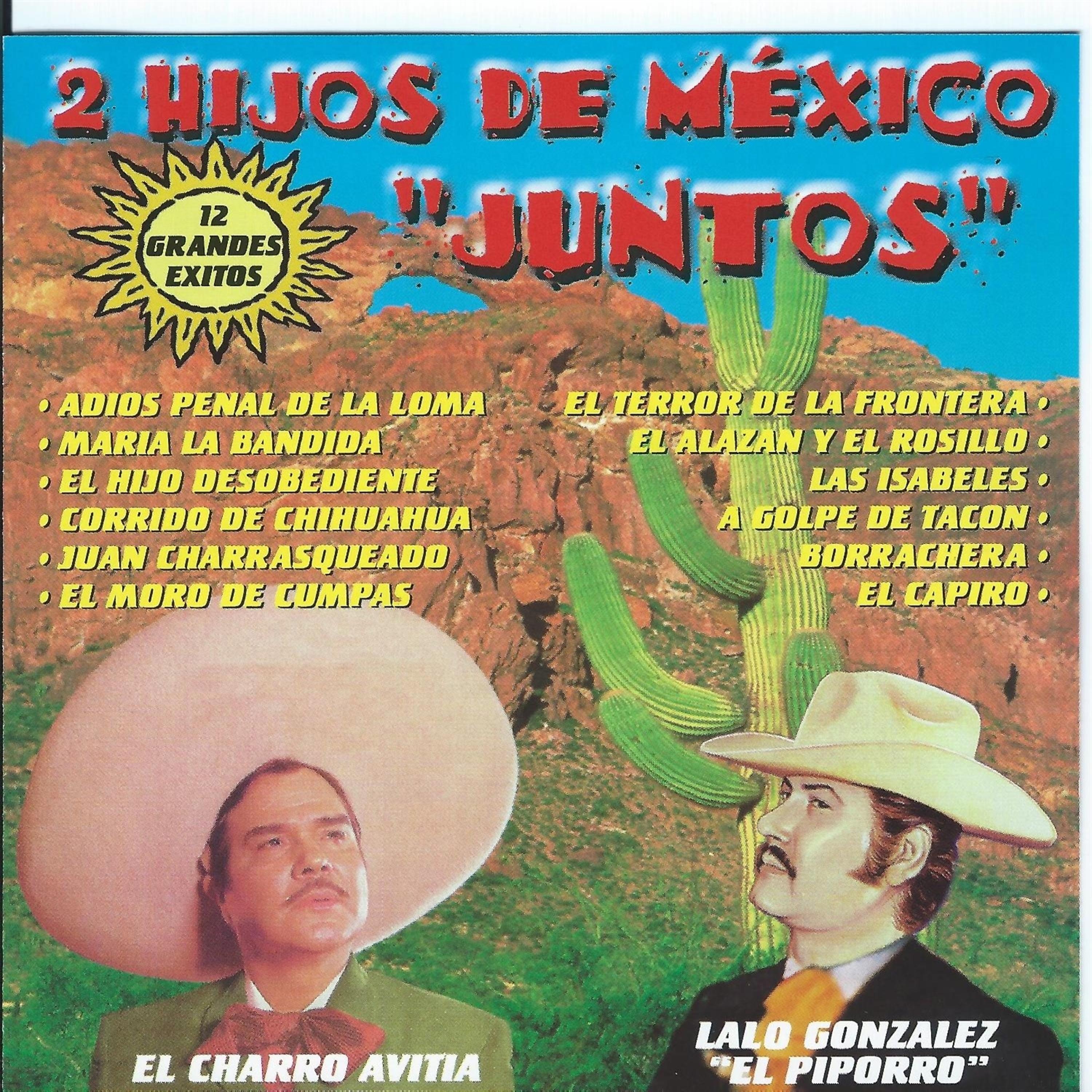 Постер альбома 2 Hijos de Mexico Juntos