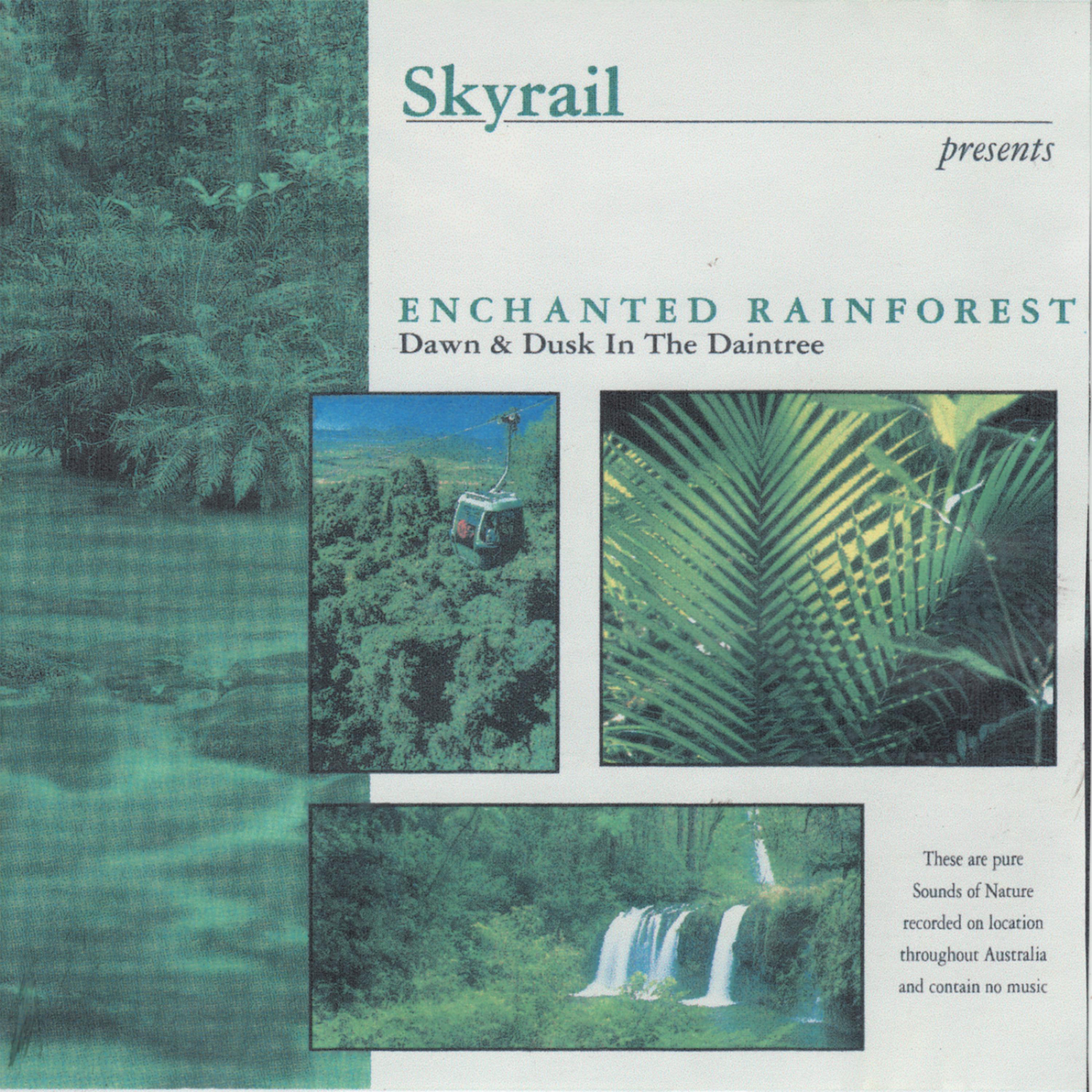 Постер альбома Sounds of Nature Series: Enchanted Rainforest