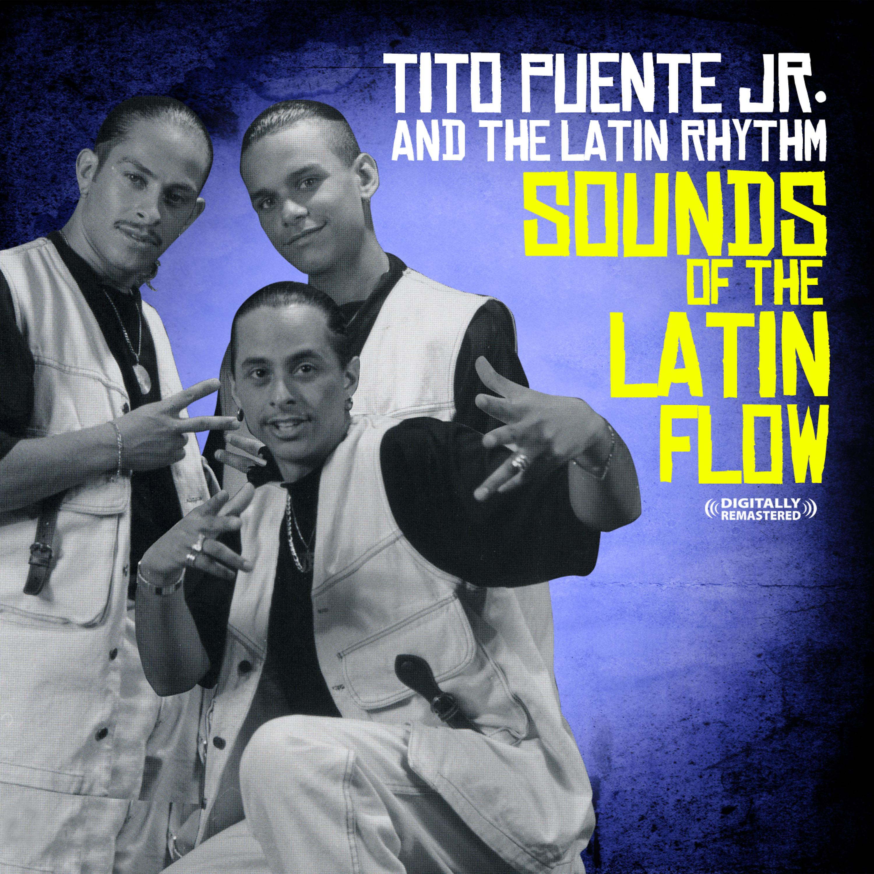 Постер альбома Sounds Of The Latin Flow