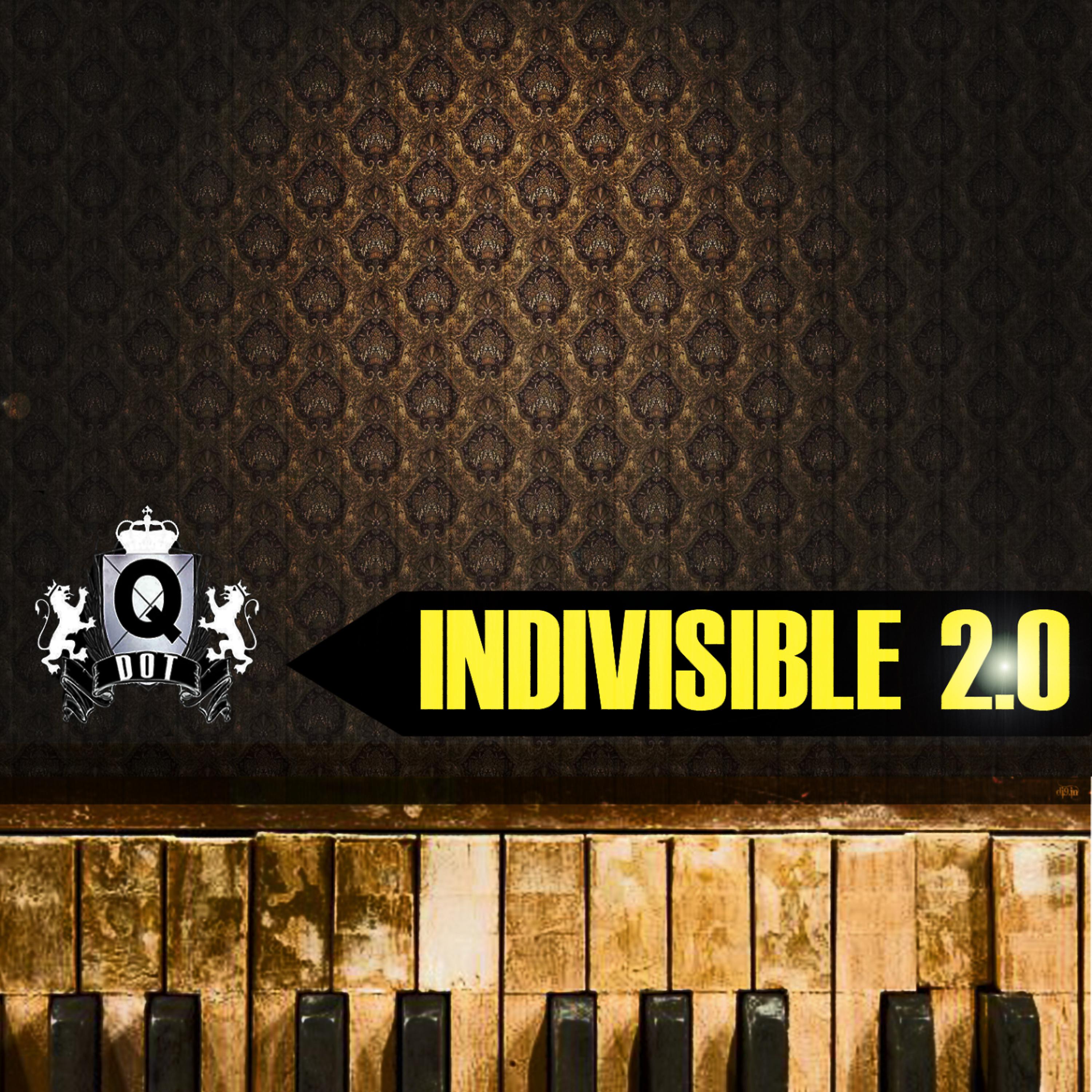 Постер альбома Indivisible 2.0