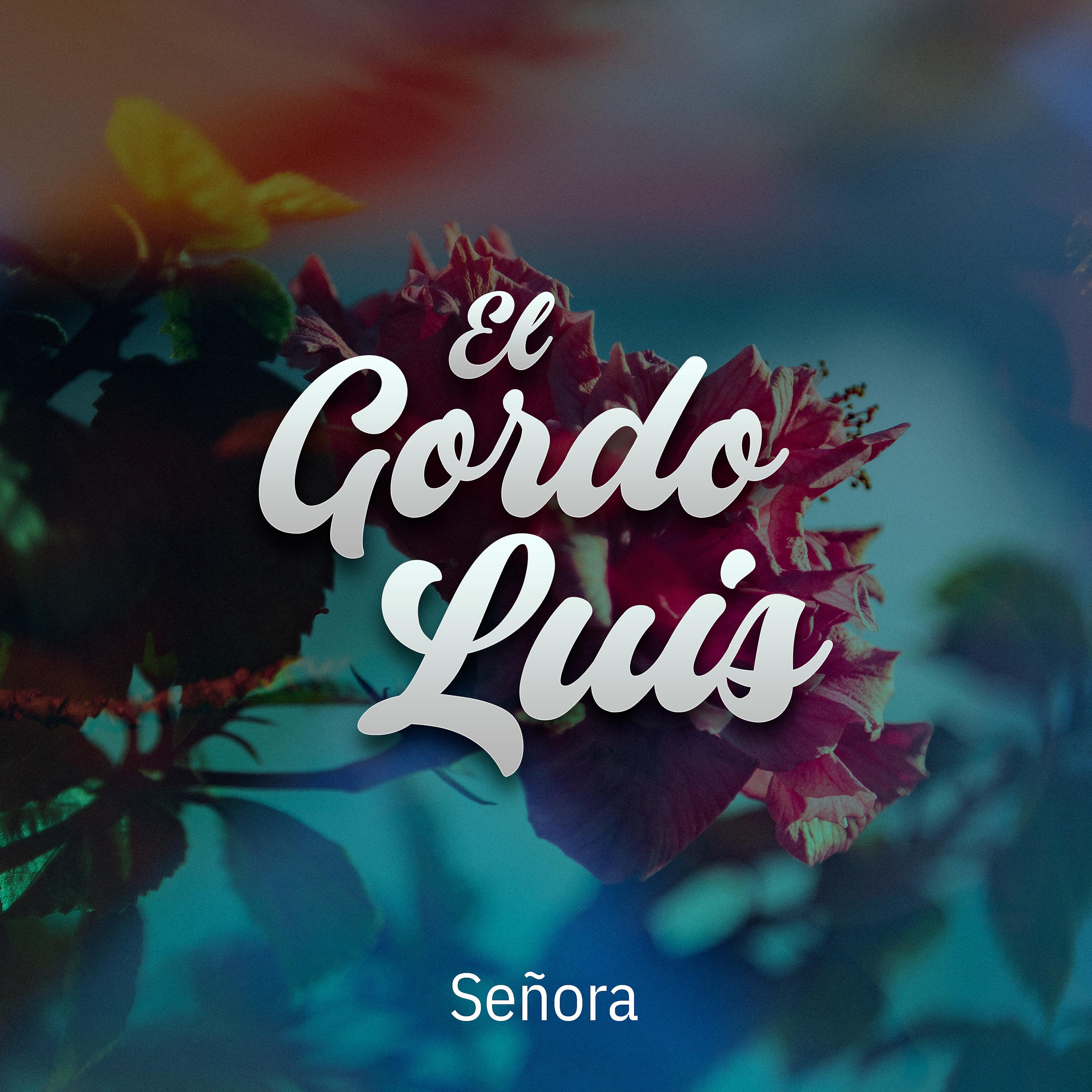 Постер альбома Señora