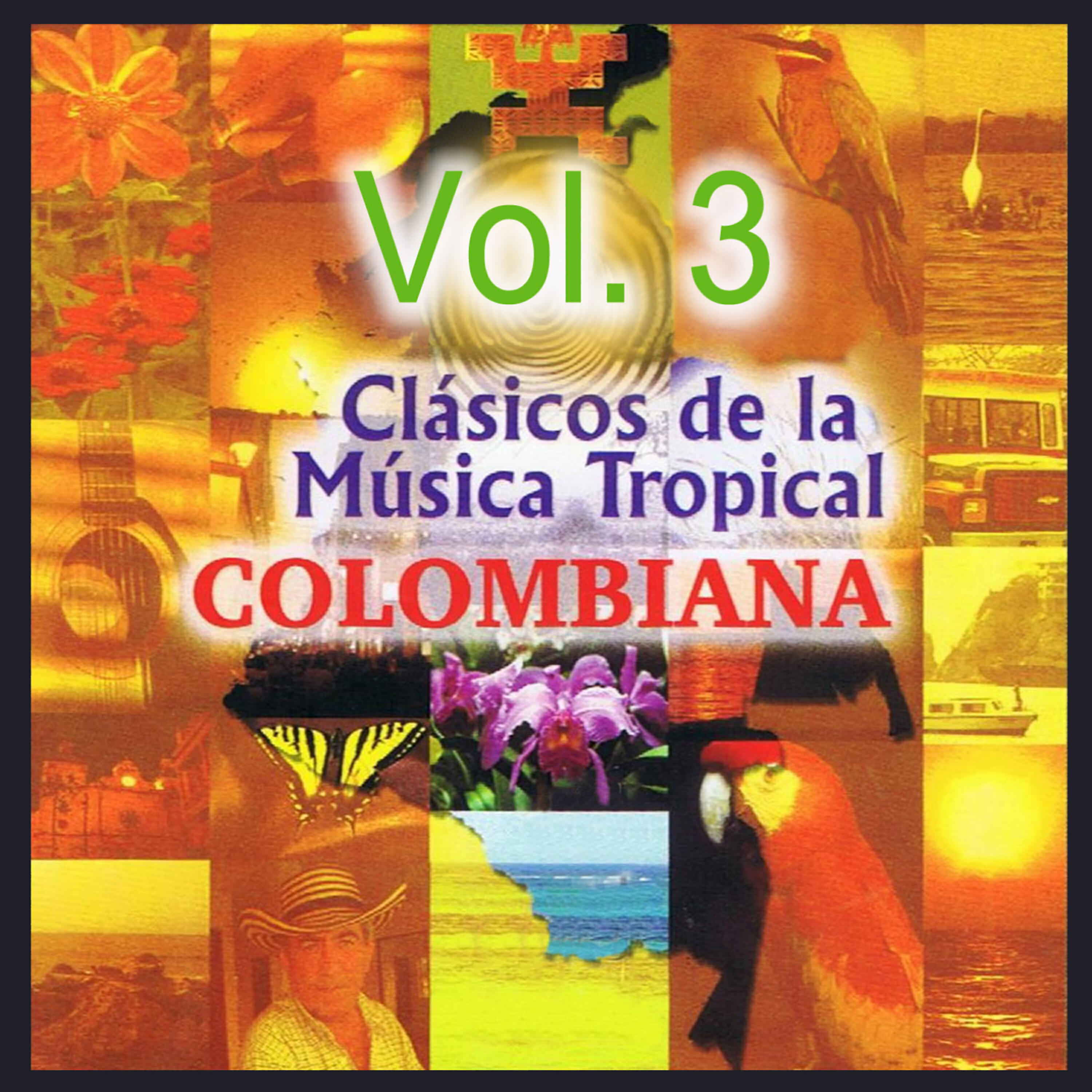 Nelson Henriquez - Festival Vallenato