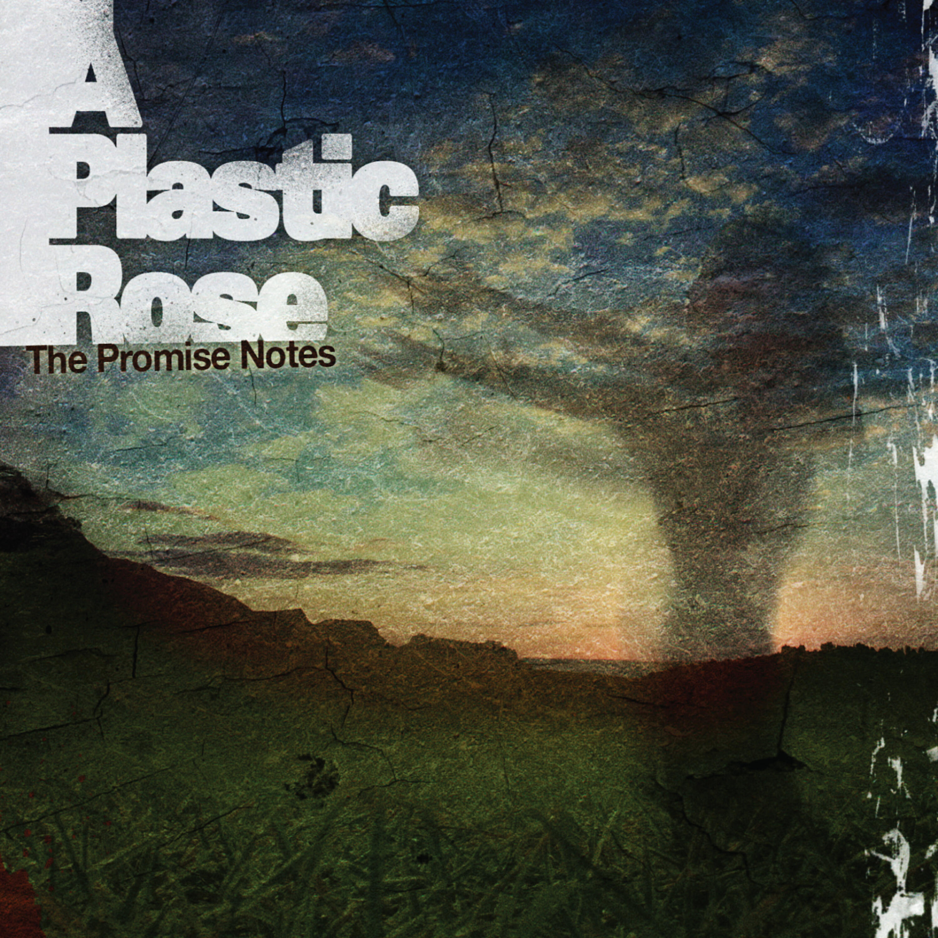 A Plastic Rose - Tiger Tail