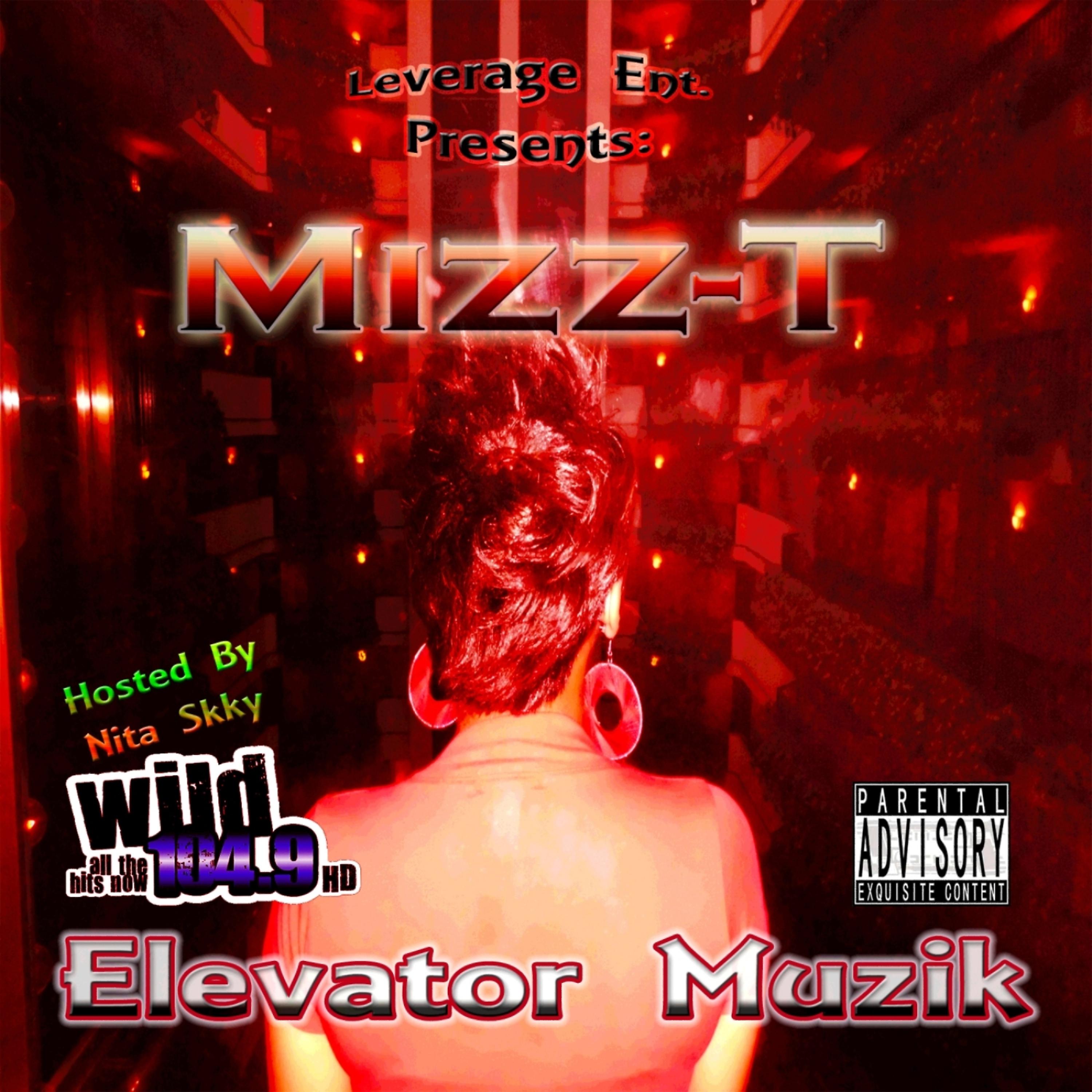 Постер альбома Elevator Muzik