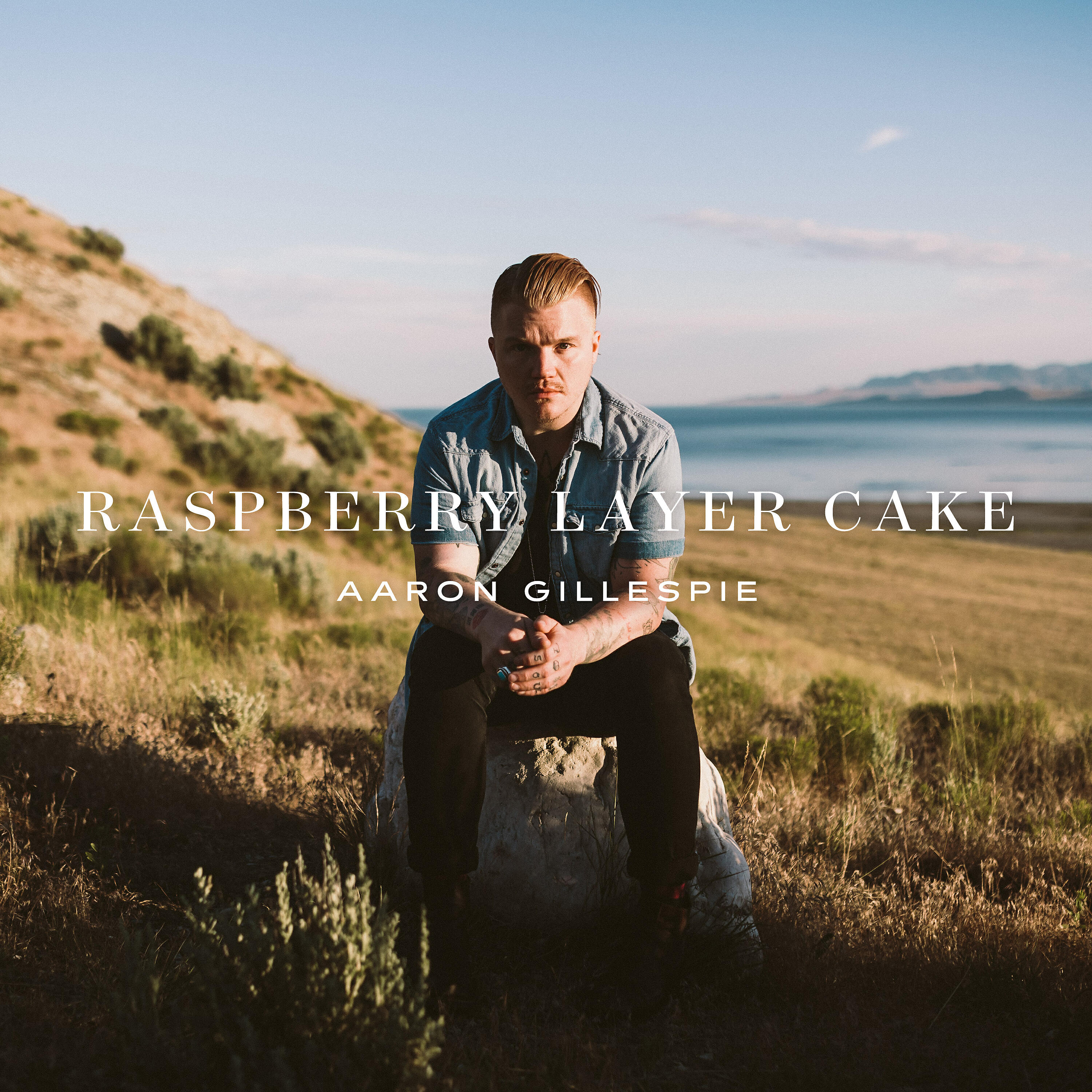 Aaron Gillespie - Raspberry Layer Cake