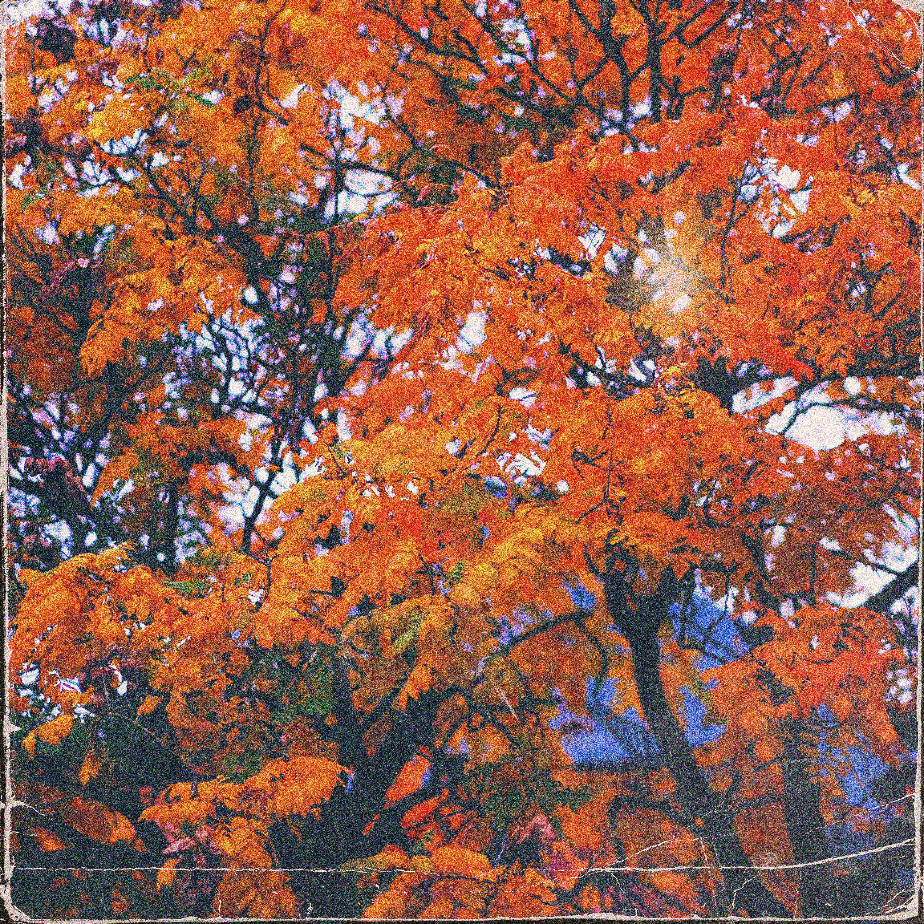Постер альбома Autumn