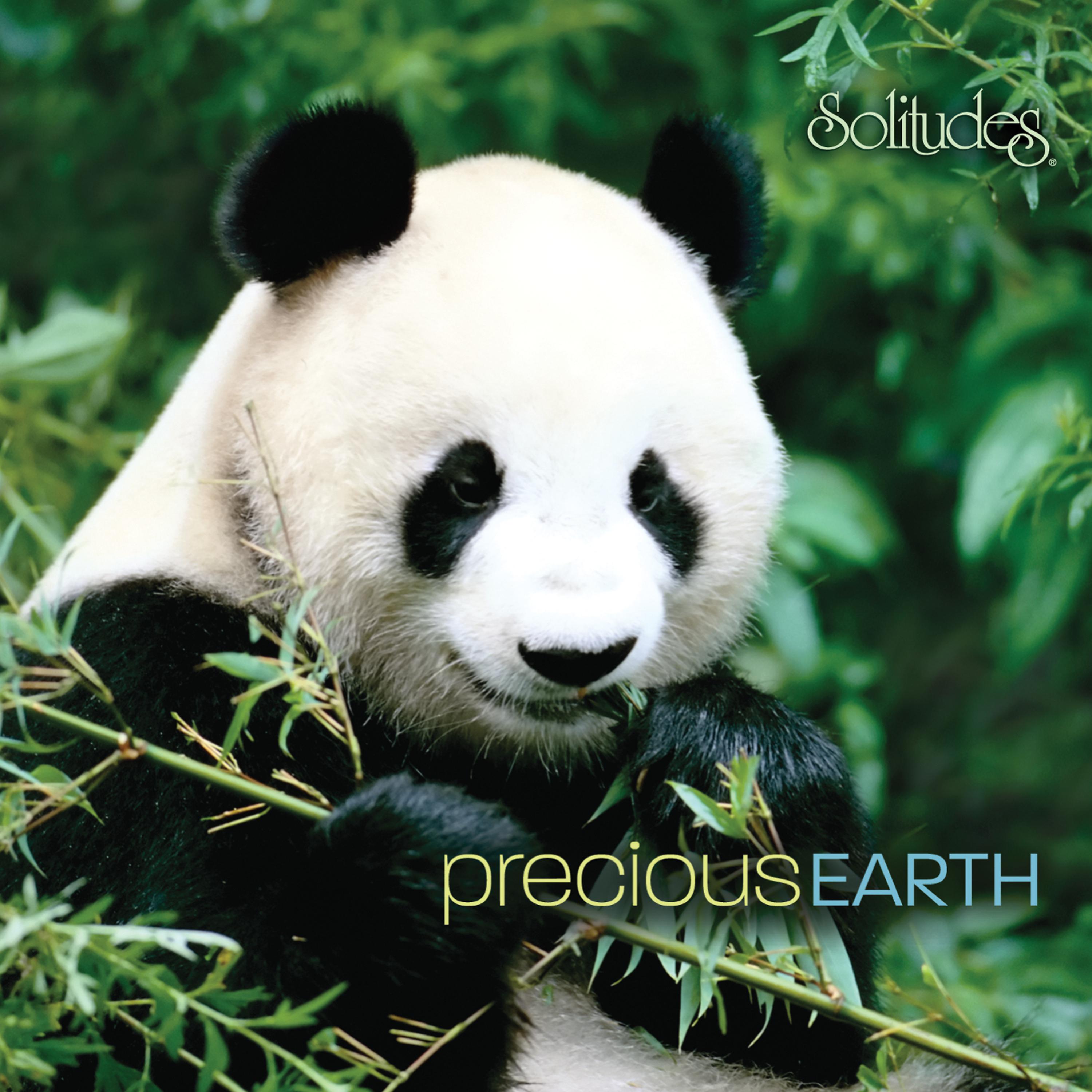 Постер альбома Precious Earth