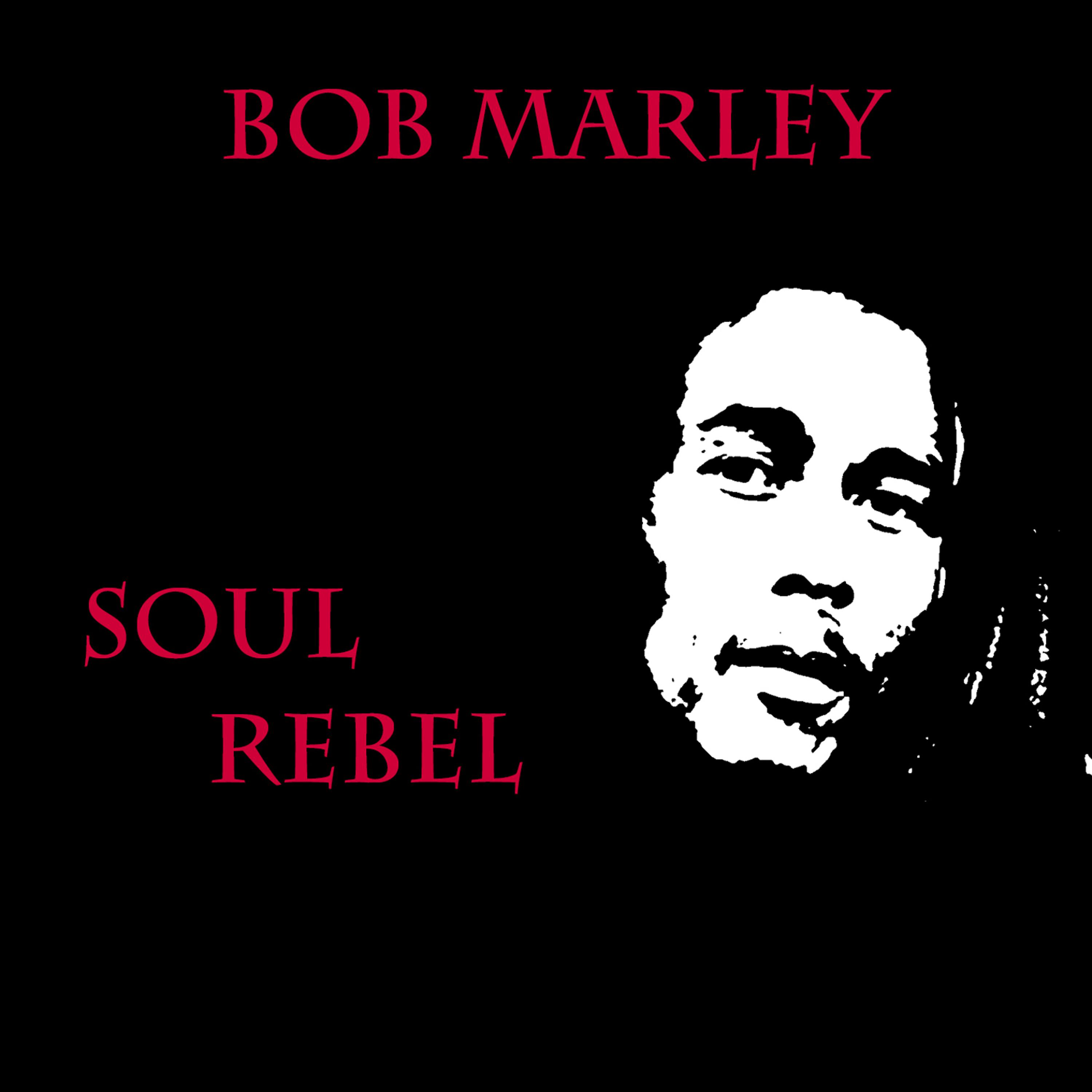 Постер альбома Soul Rebel