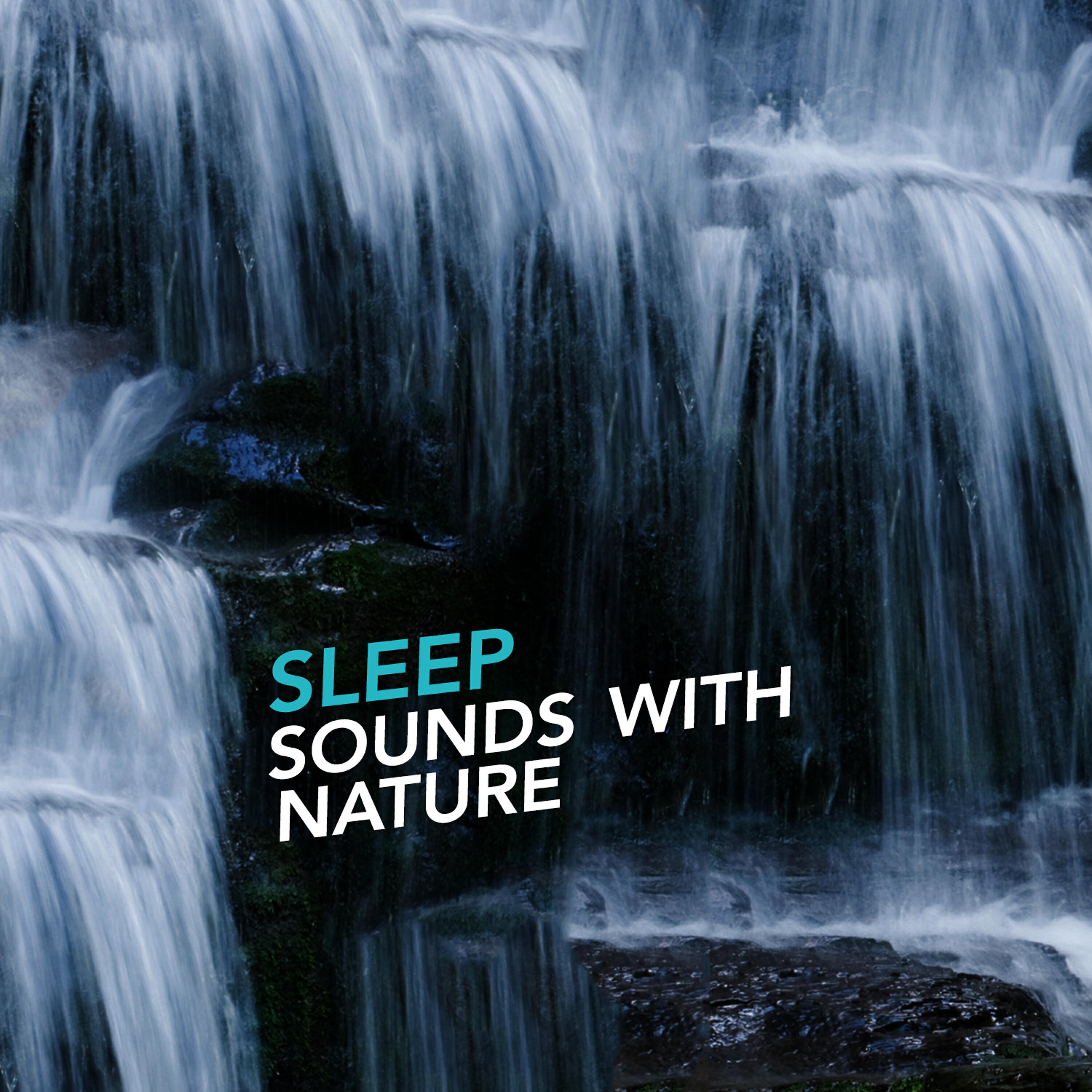 Sleep Songs - Runnel Birdsong