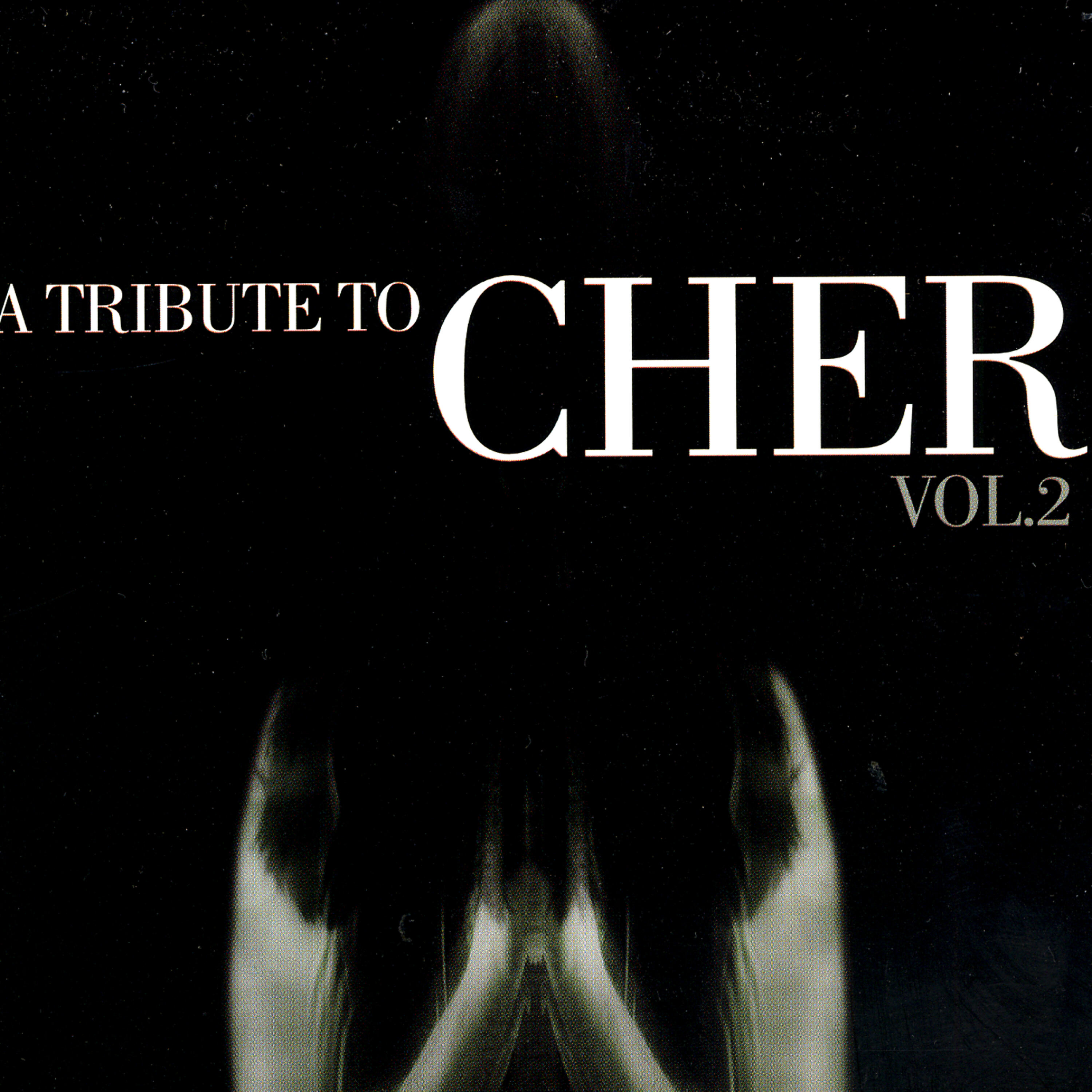 Альбом A Tribute To Cher, Vol. 2 исполнителя Royal Pop Of Sound