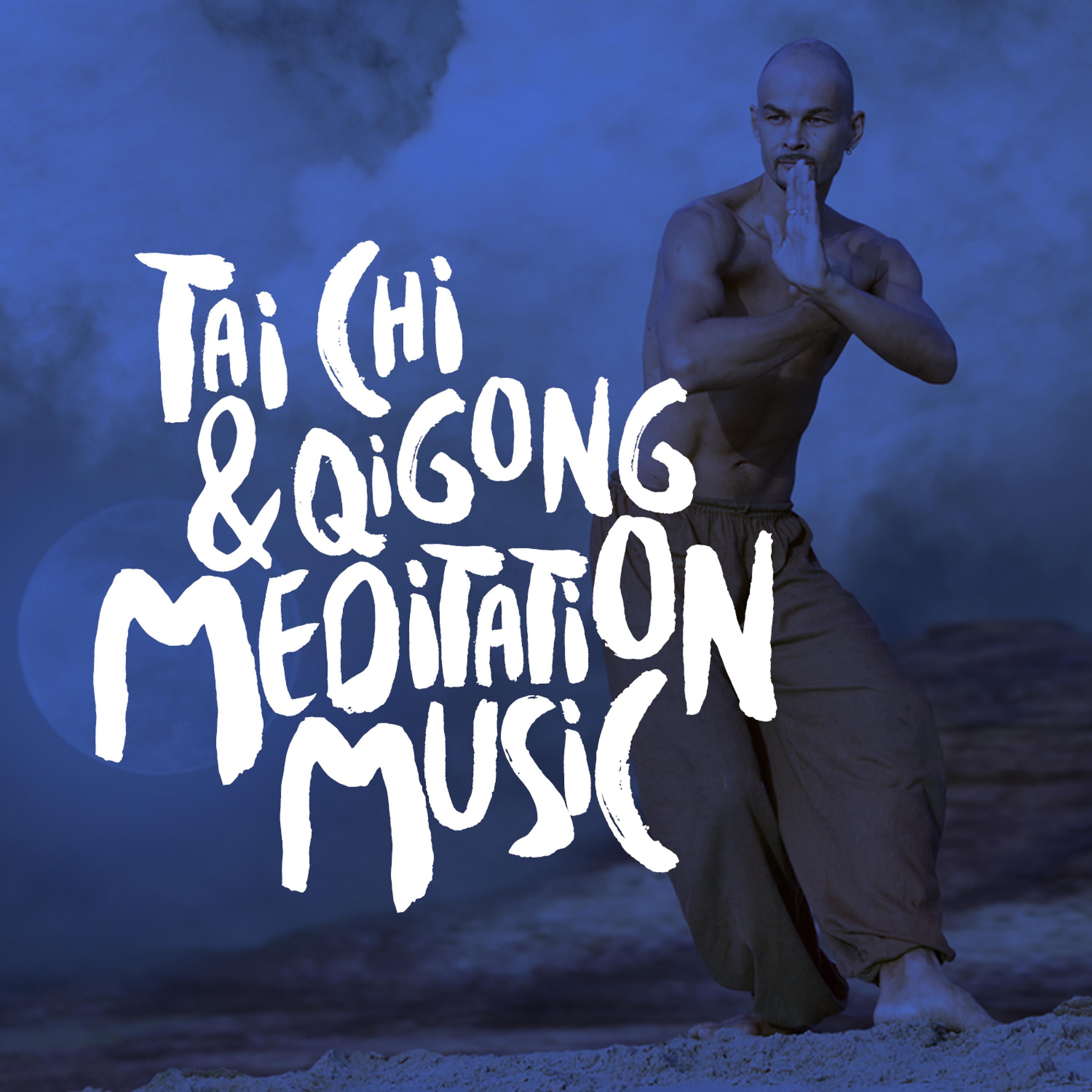 Постер альбома Tai Chi & Qigong Meditation Music