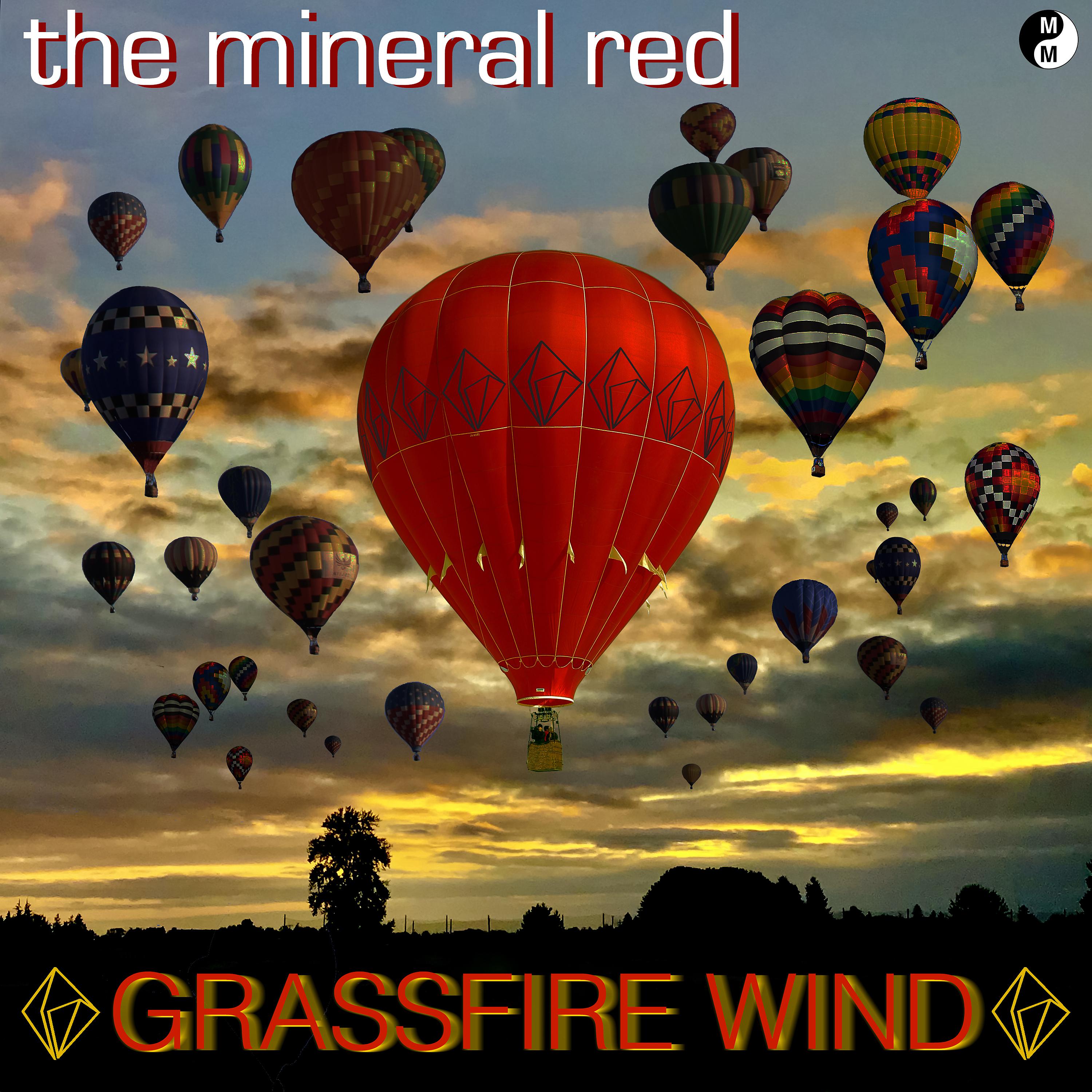 Постер альбома Grassfire Wind