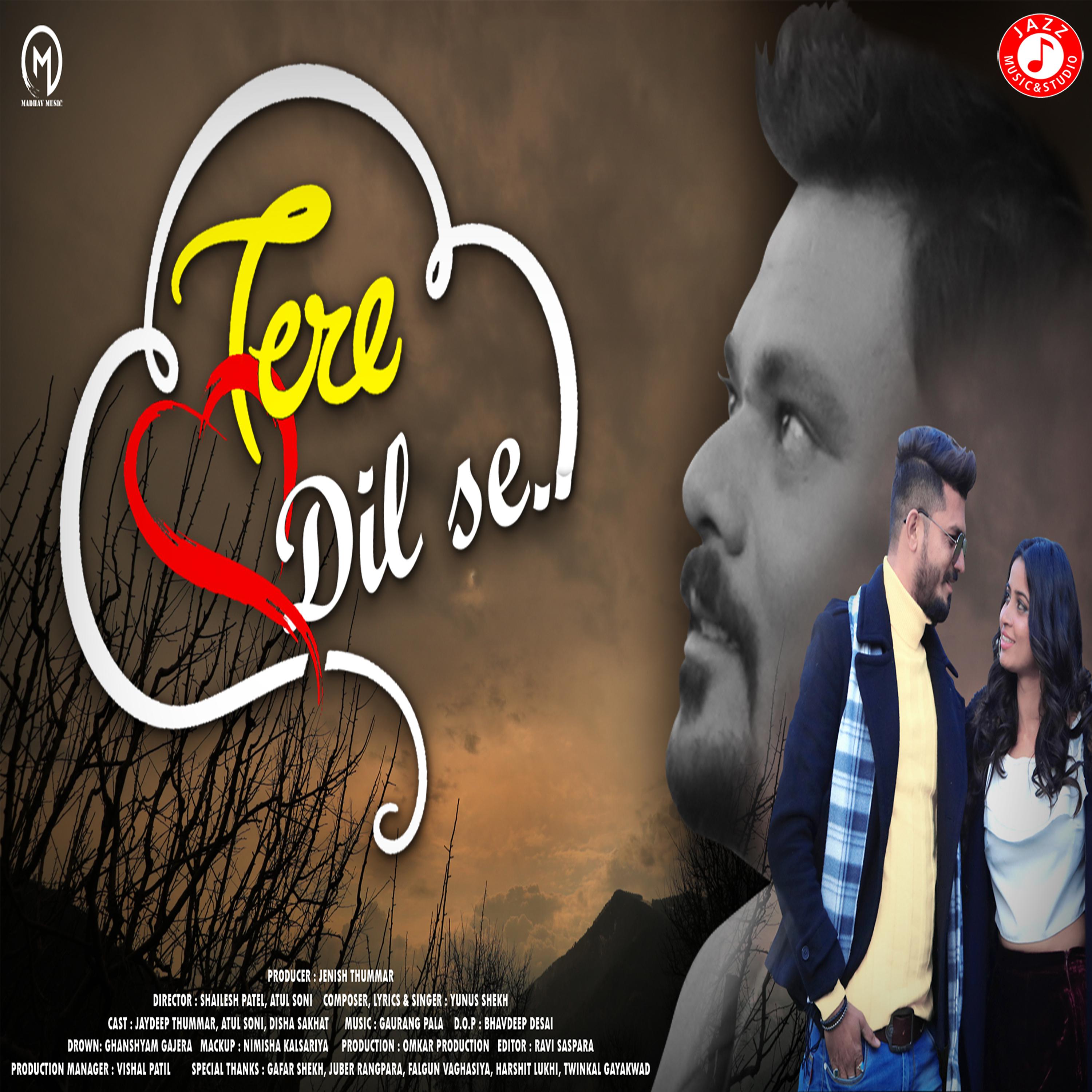 Постер альбома Tere Dil Se - Single