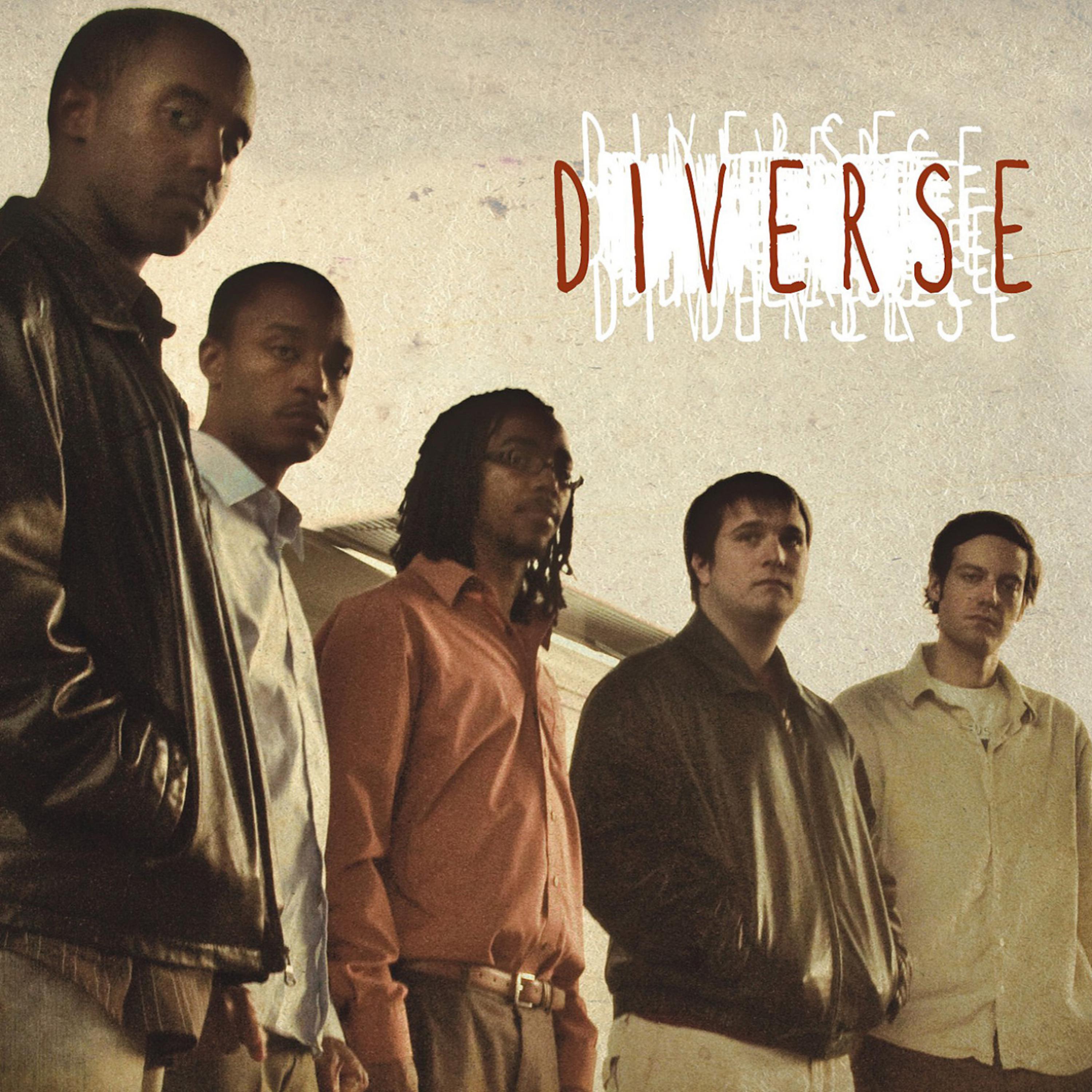 Постер альбома Diverse