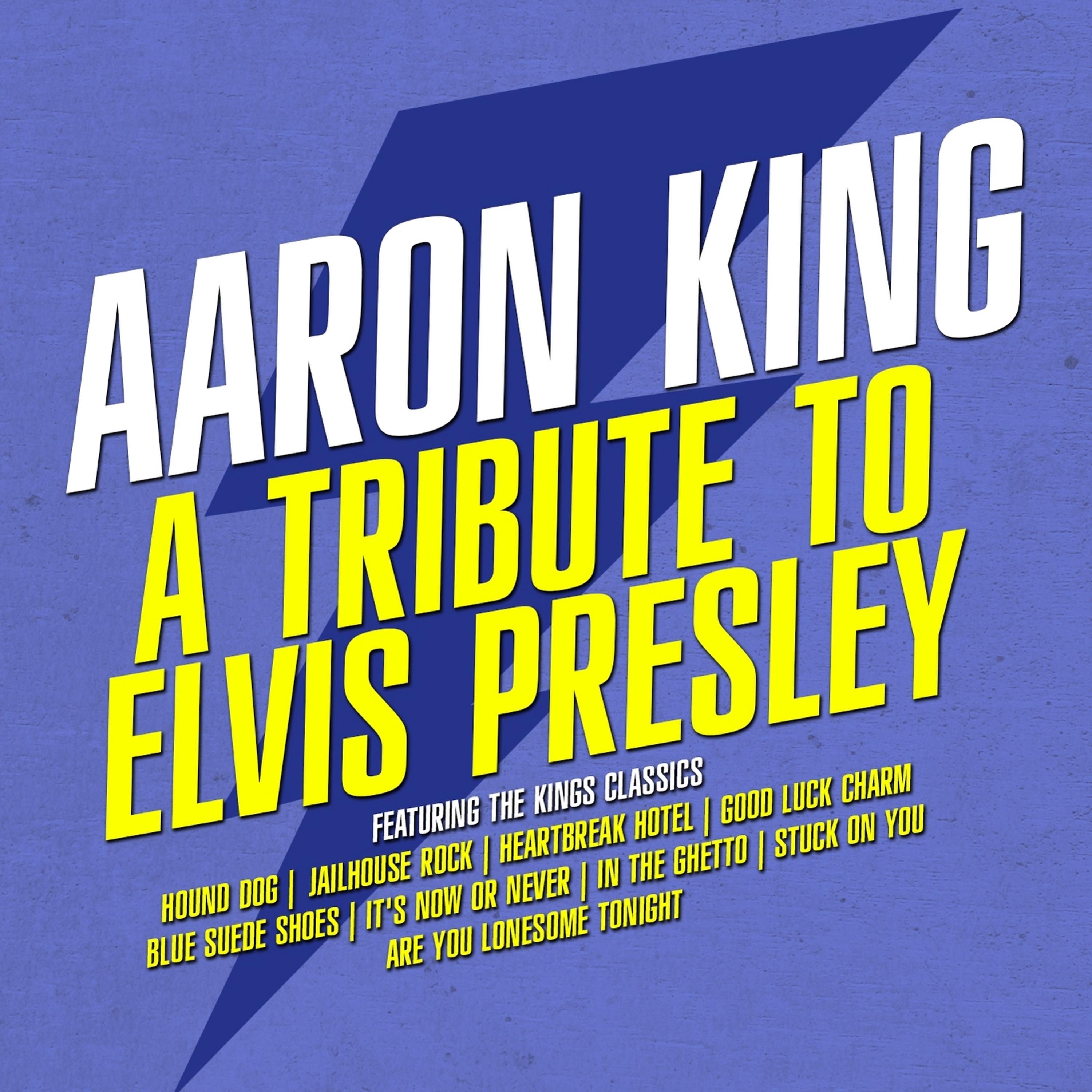 Постер альбома A Tribute to Elvis Presley (Digitally Remastered)