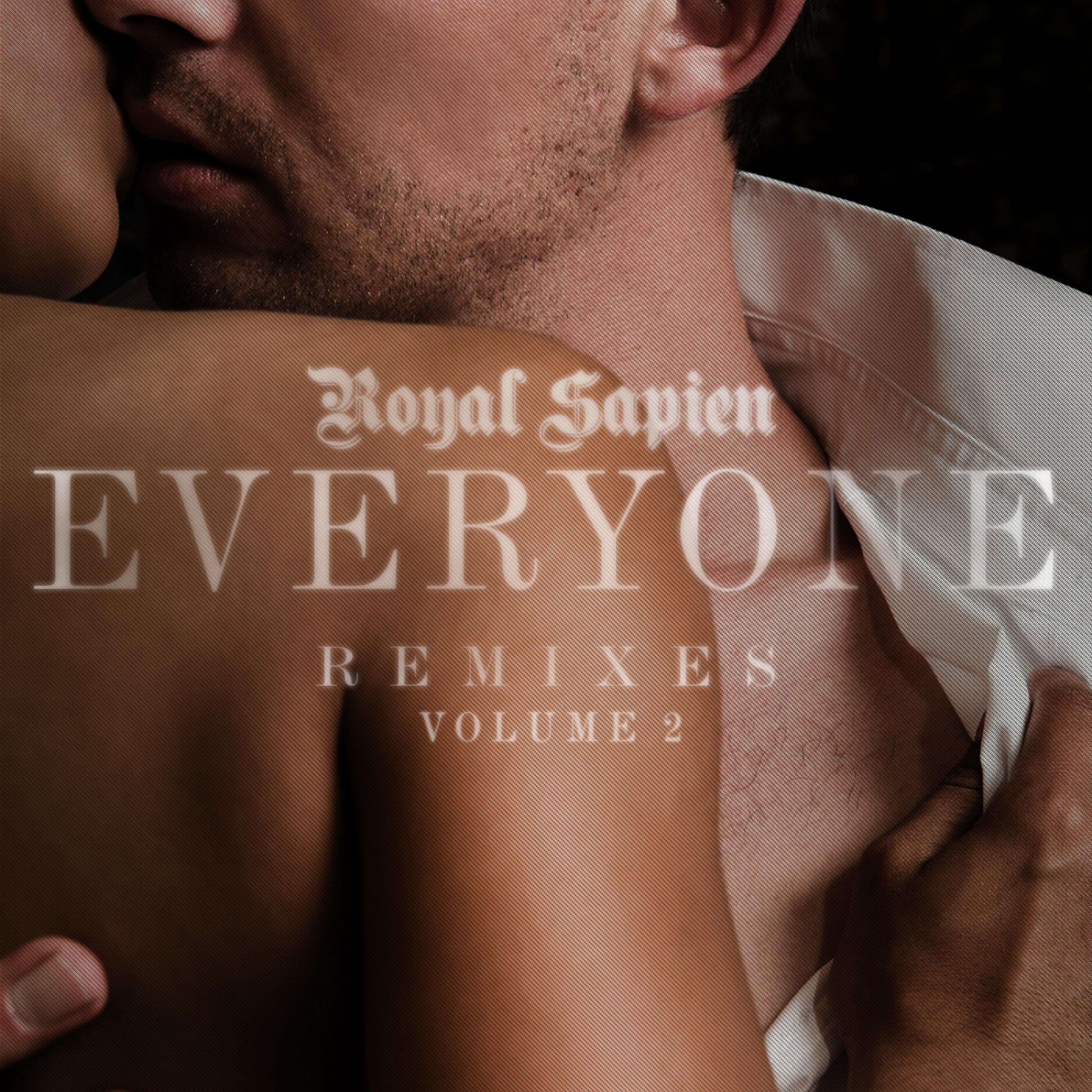Постер альбома Everyone Remixes Vol. 2