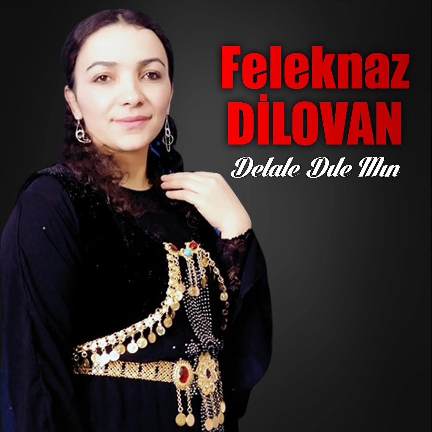Постер альбома Delale Dılemın