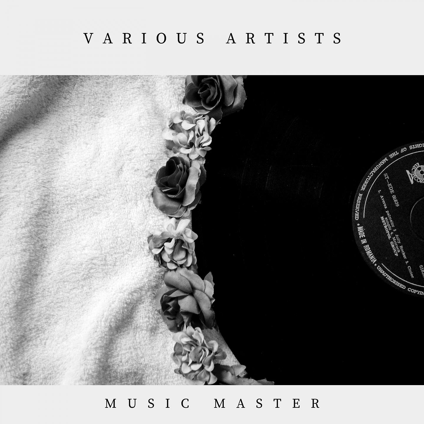 Постер альбома Music Master