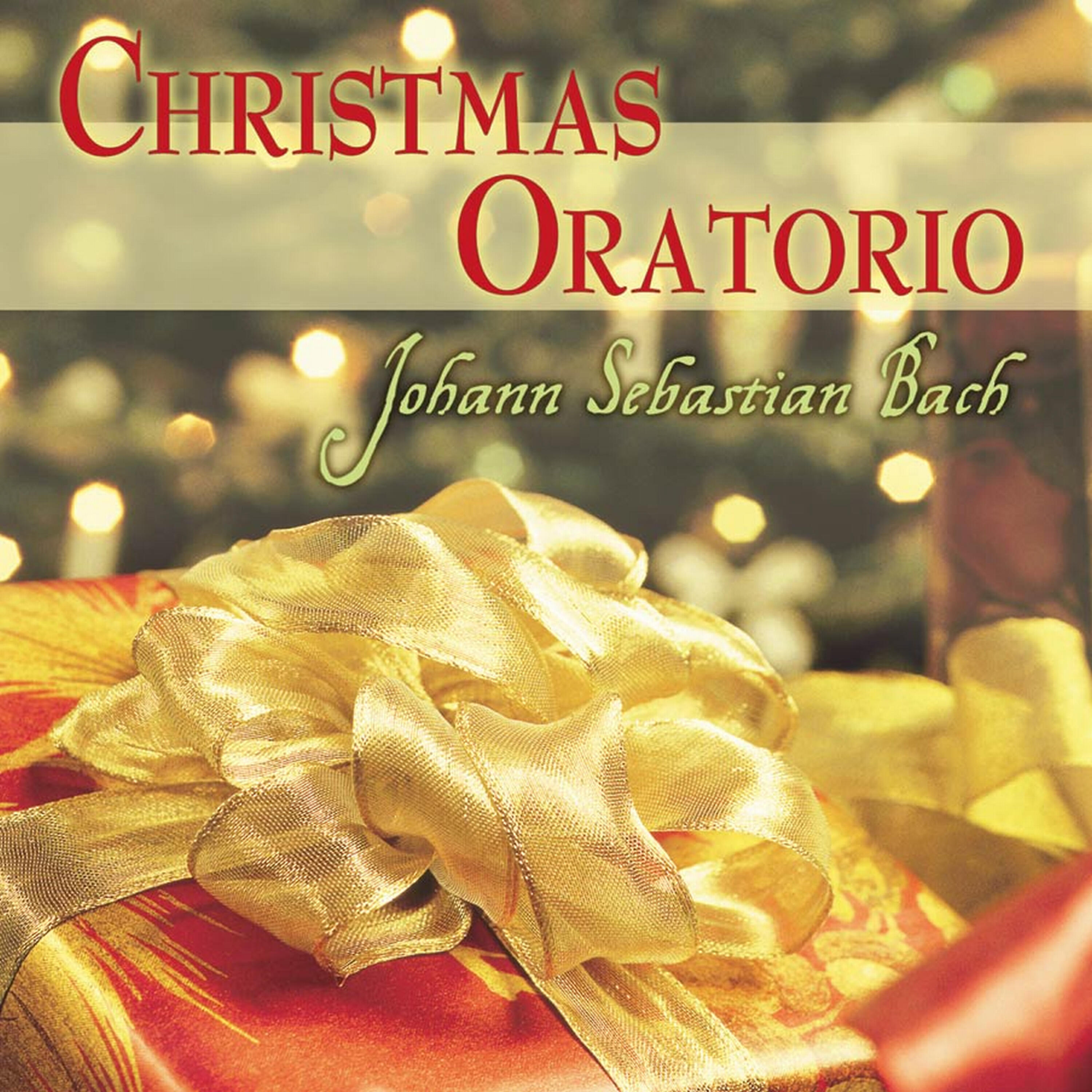 Ruth Ziesac - Christmas Oratorio, BWV 248 - Part 1: Und Sie Gebar