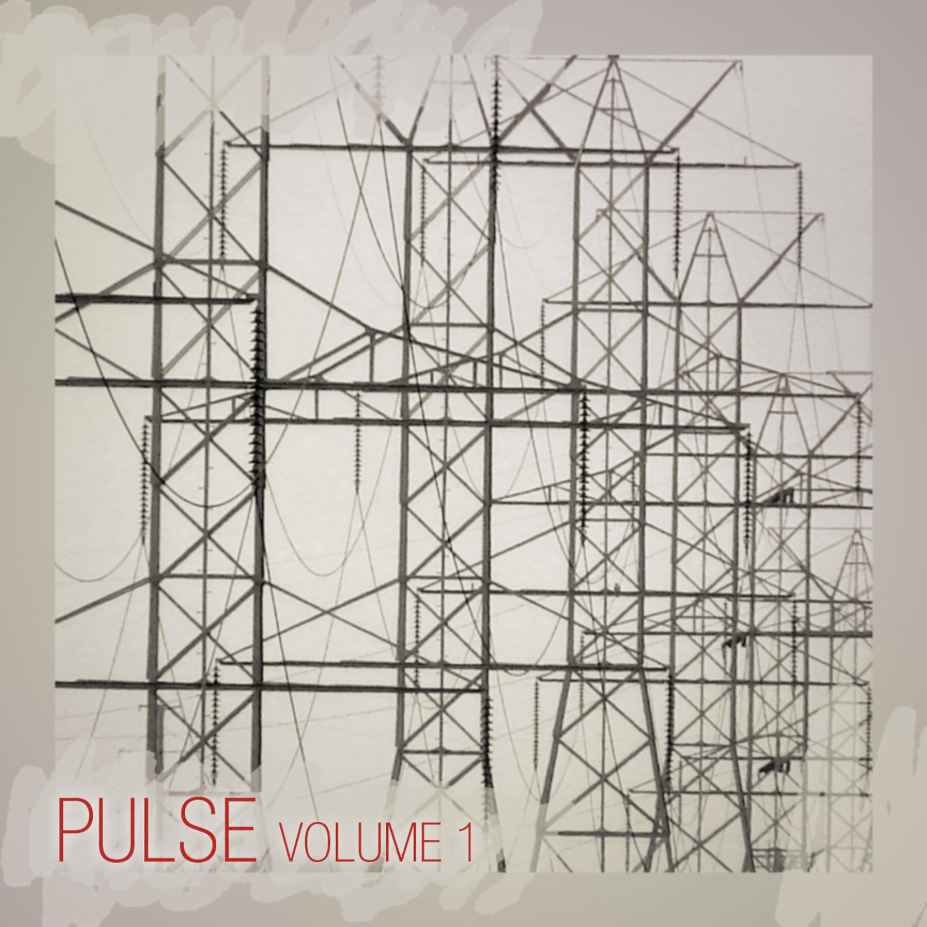 Постер альбома Pulse Vol.1