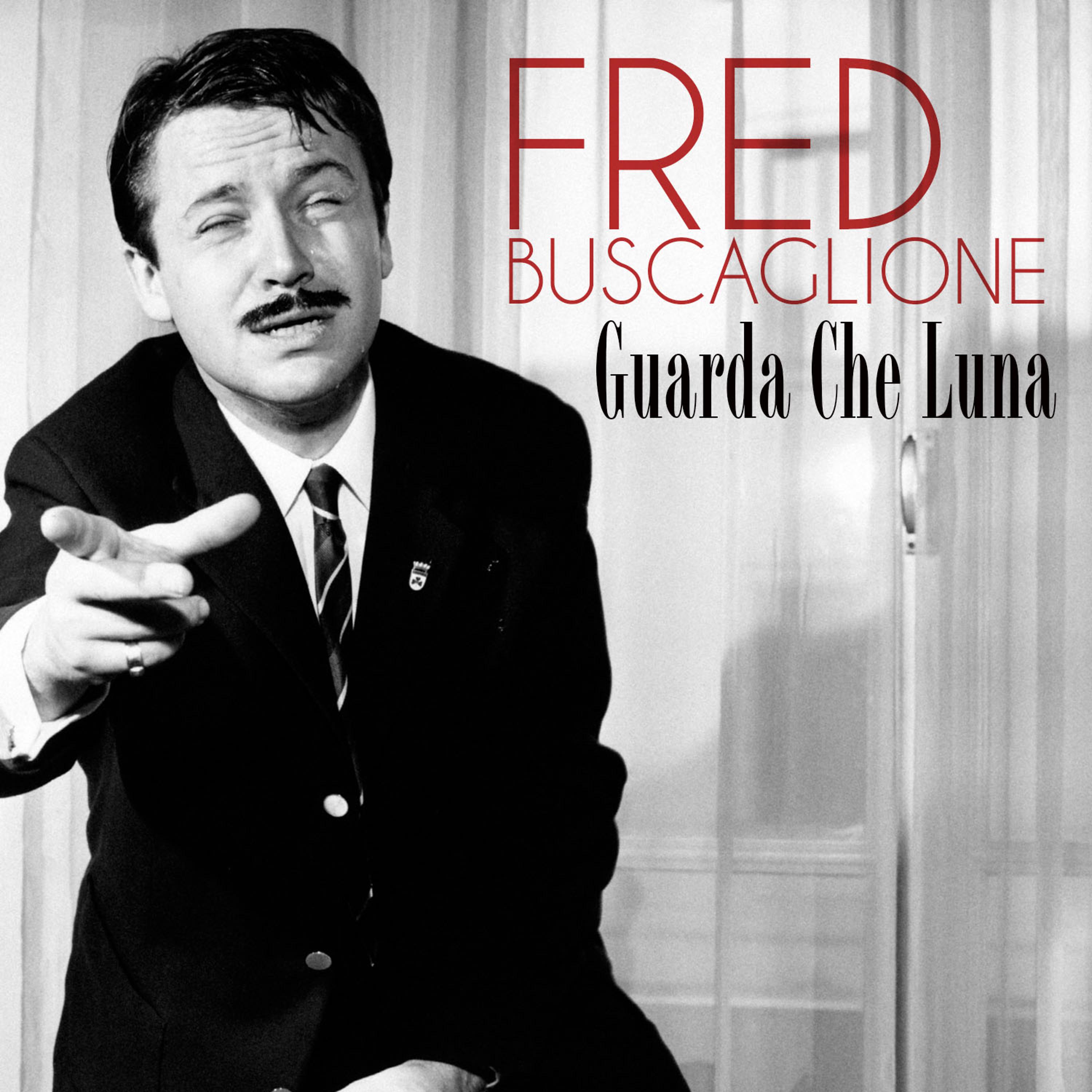 Постер альбома Guarda che Luna