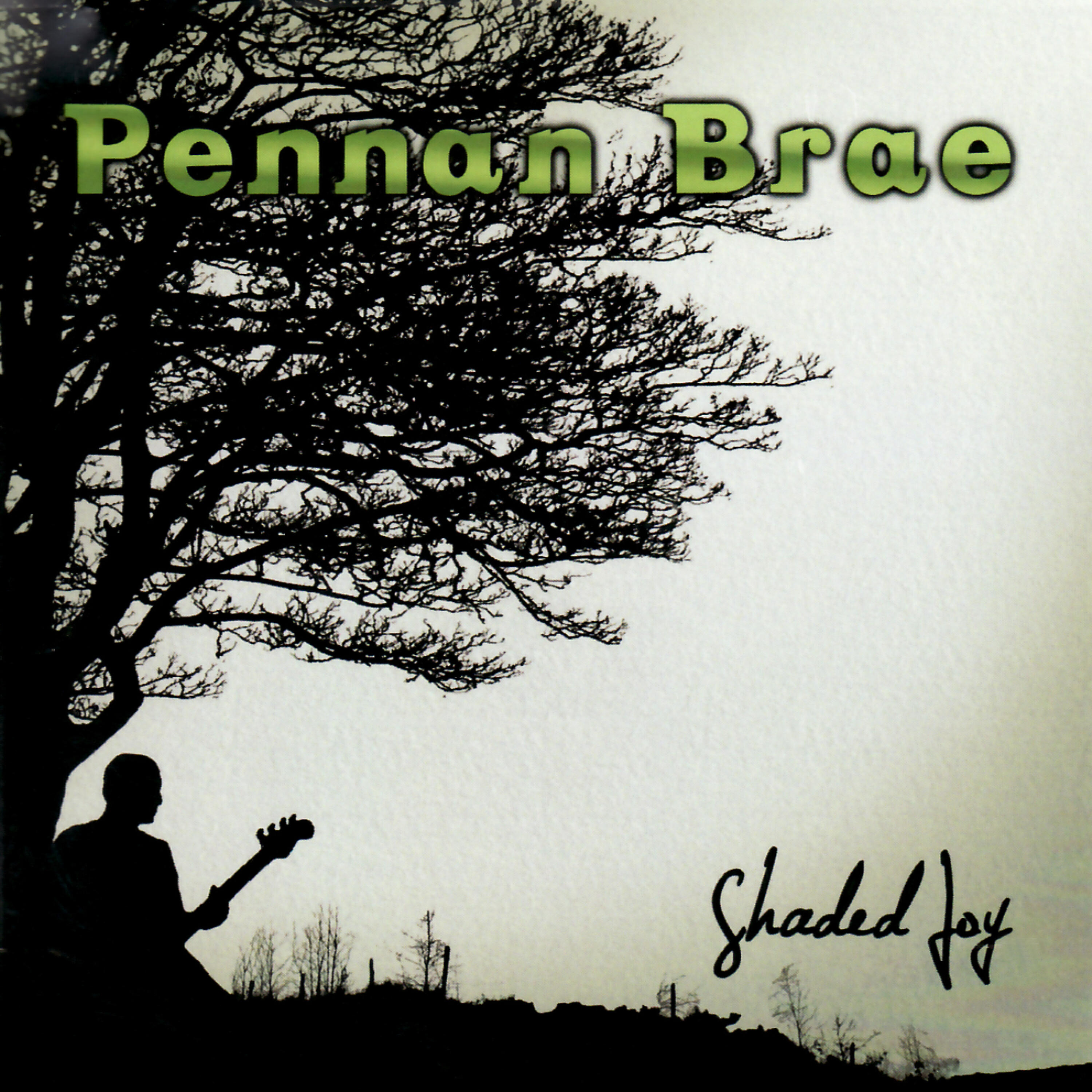 Pennan Brae - Anyways