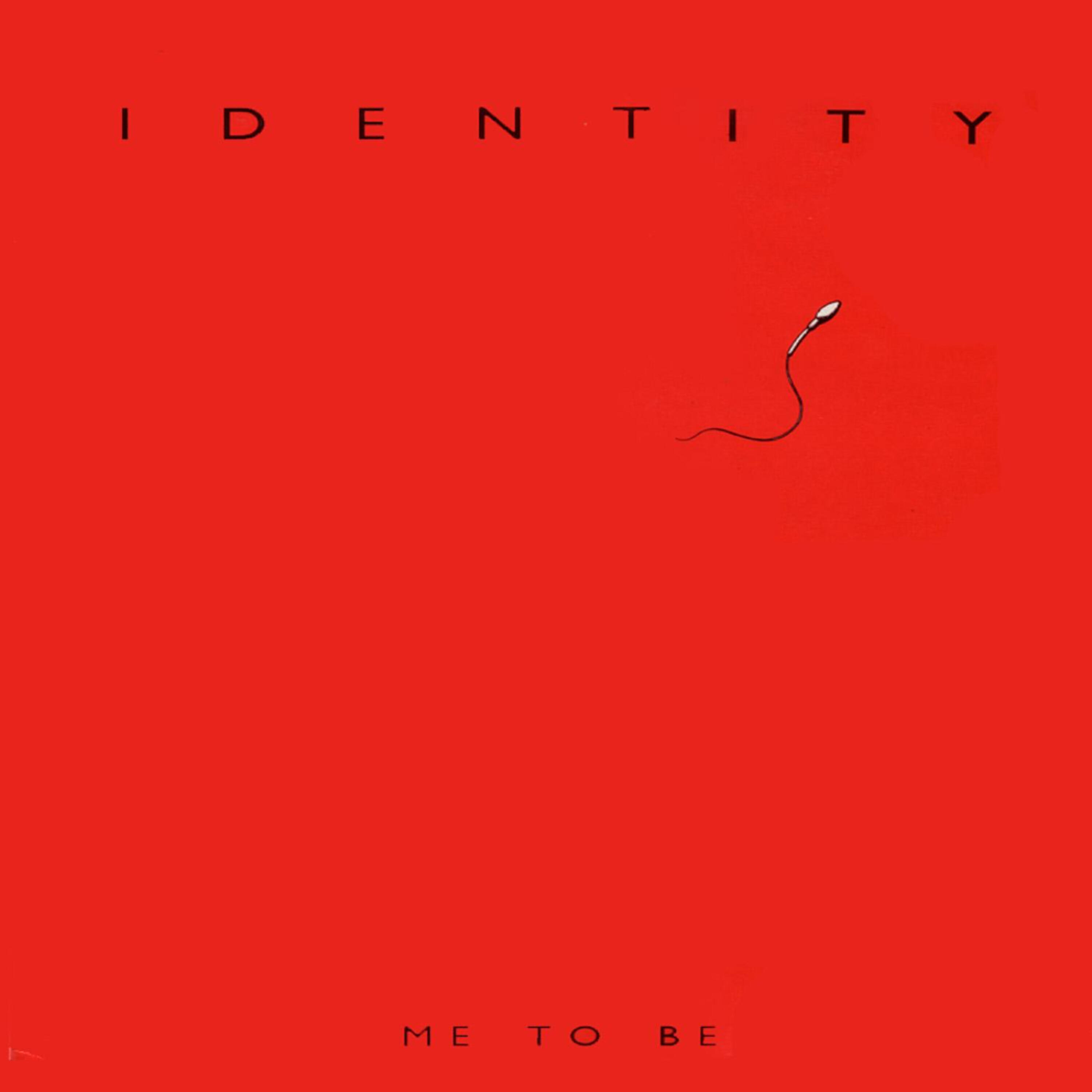 Identity - Certain Distances