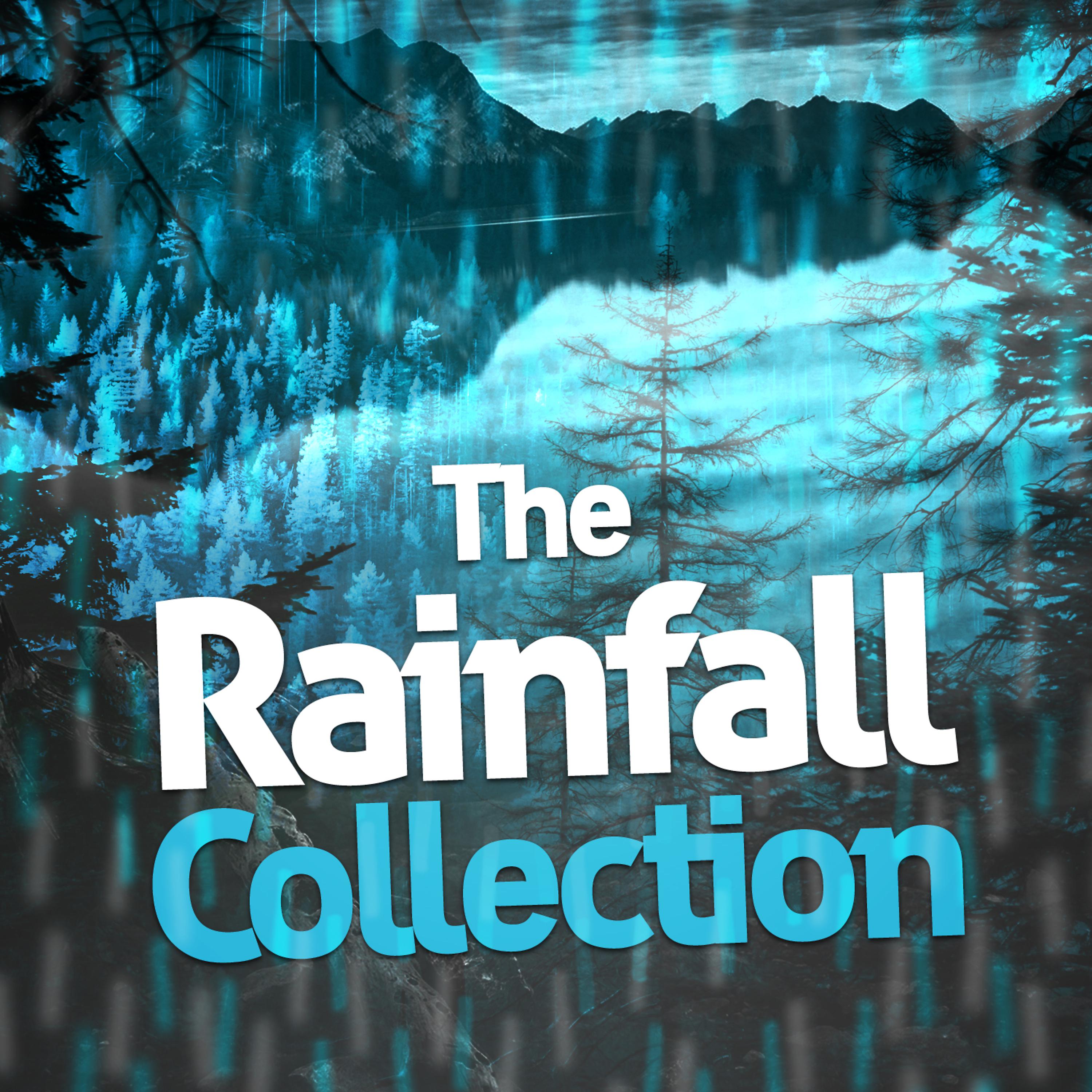 Rain Sounds Nature Collection - Hail Gives Way to Rain