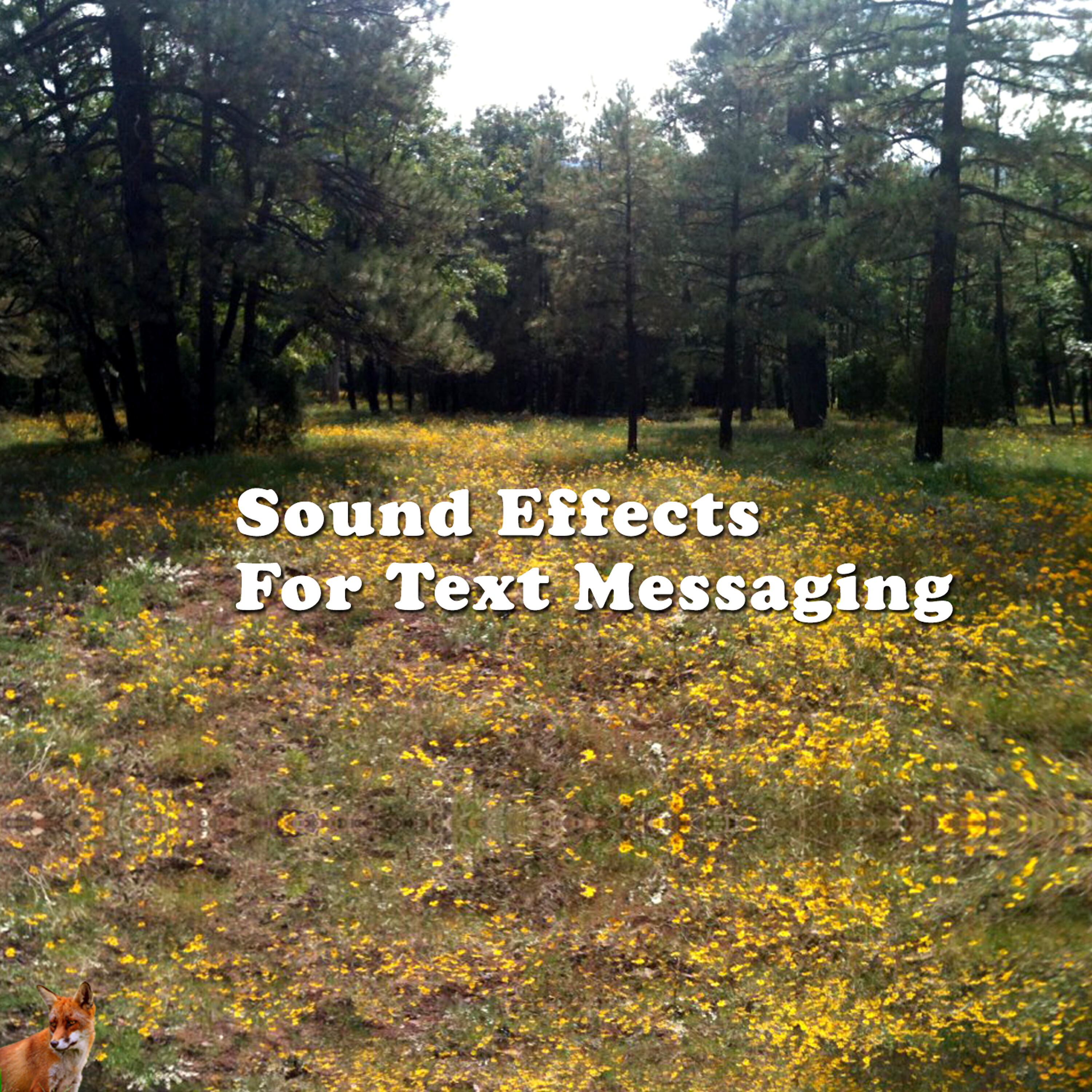 Text Tones - Beeps to Bell (Text Tone)