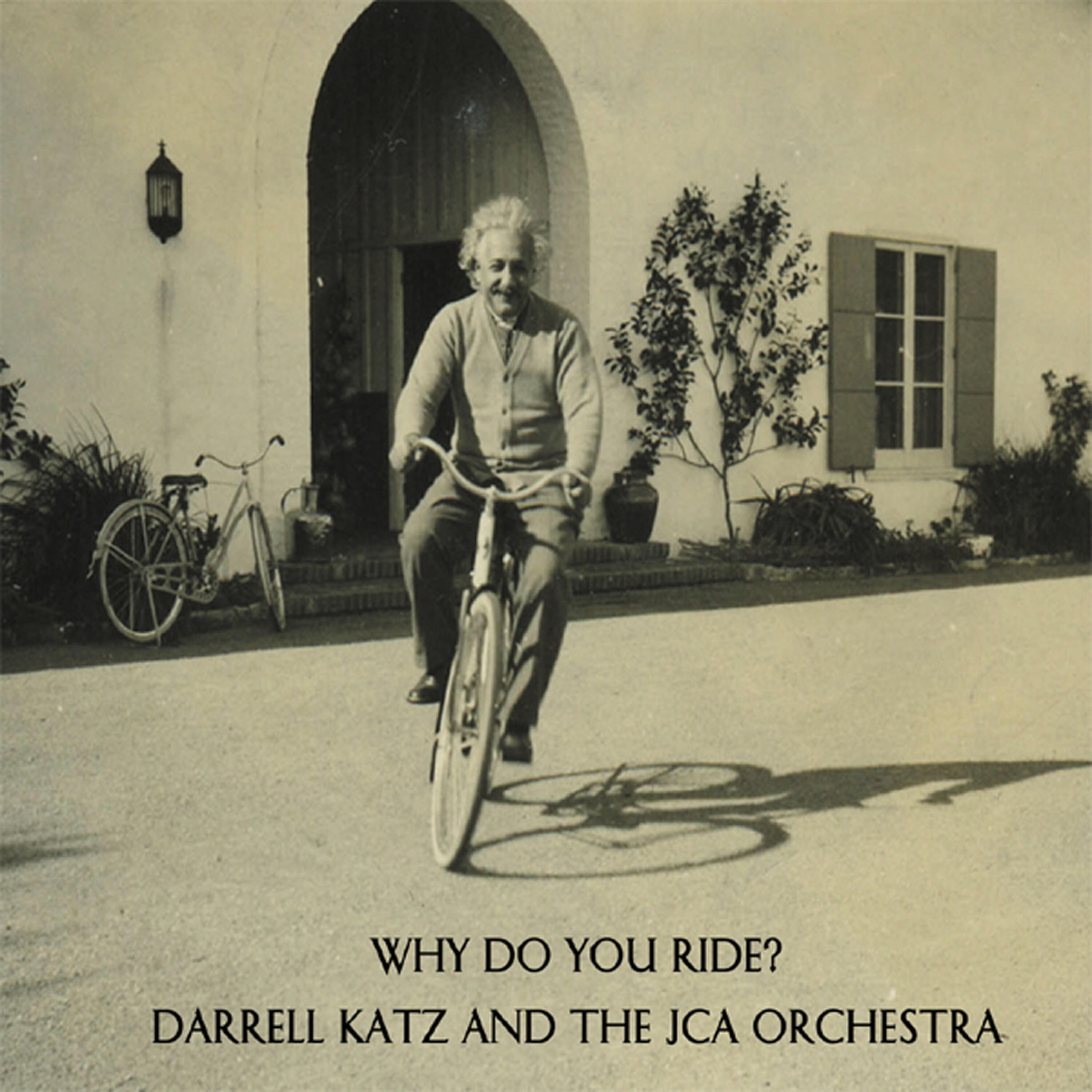 Darrell Katz - What Did Albert Einstein Say?
