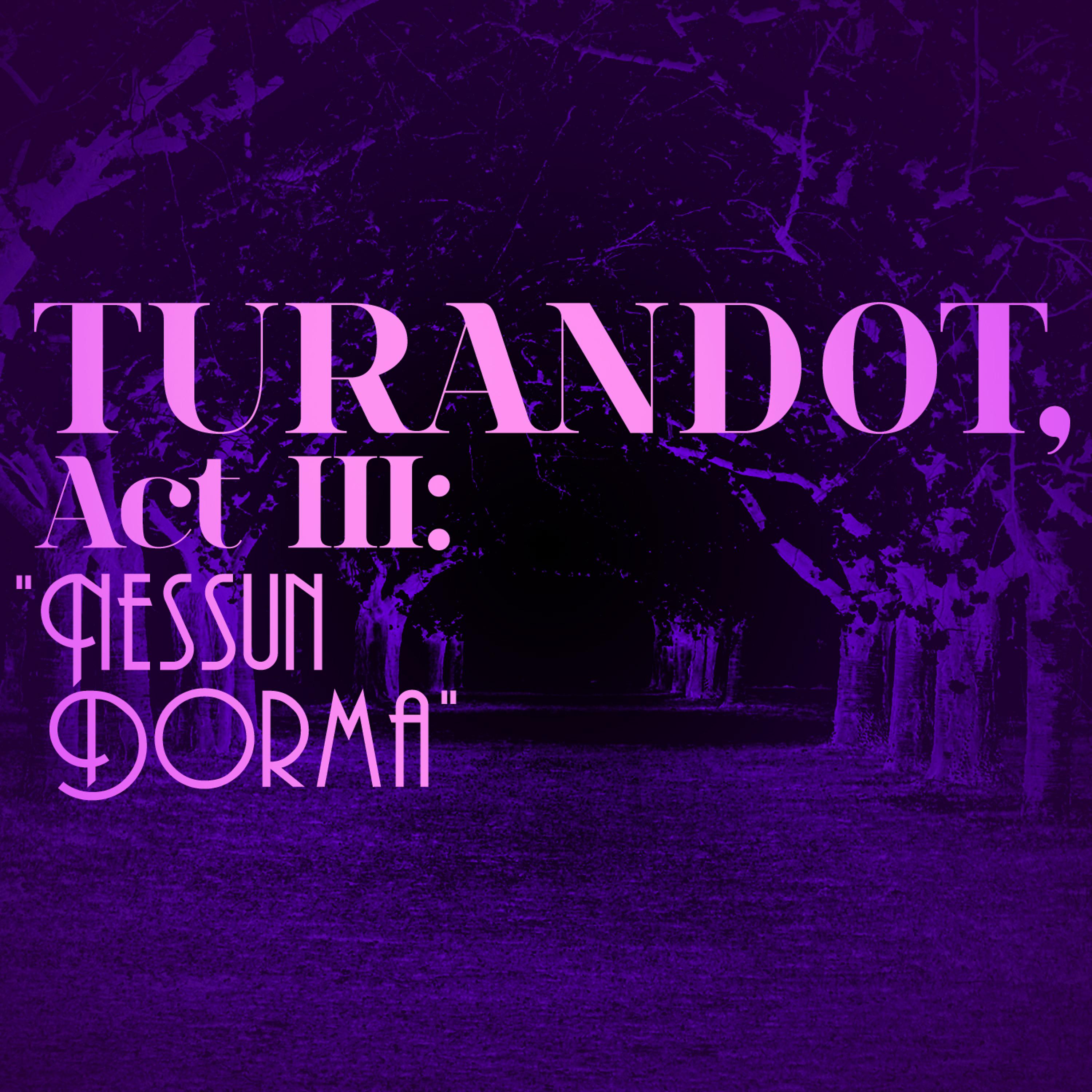 Постер альбома Turandot, Act Iii: "Nessun Dorma" - Single