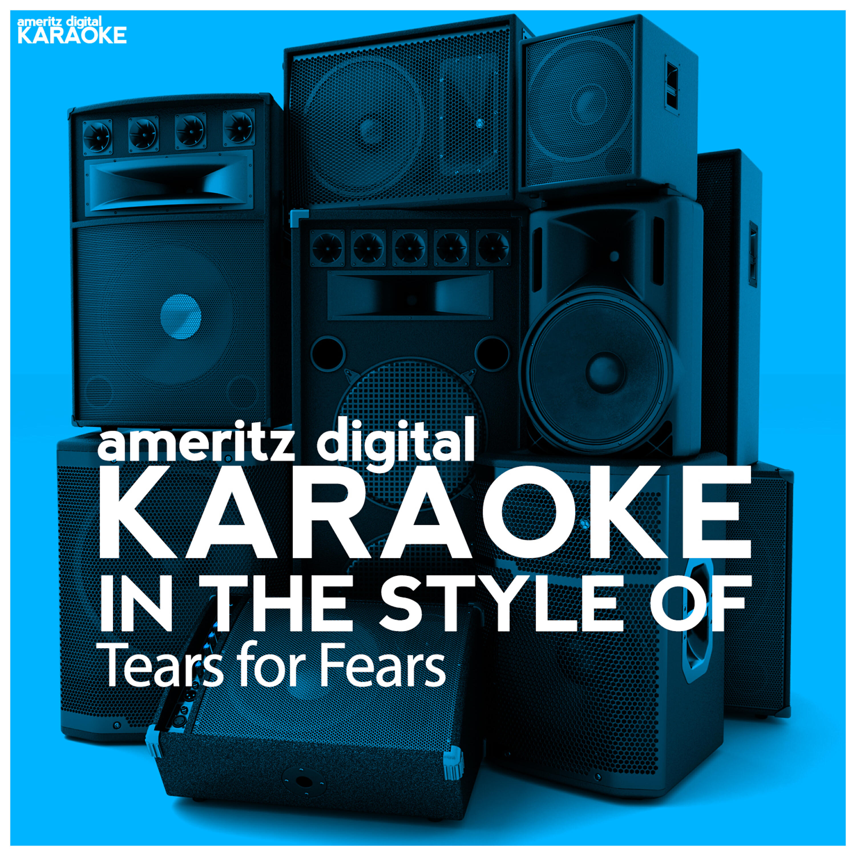 Ameritz Digital Karaoke - Pale Shelter (Karaoke Version)