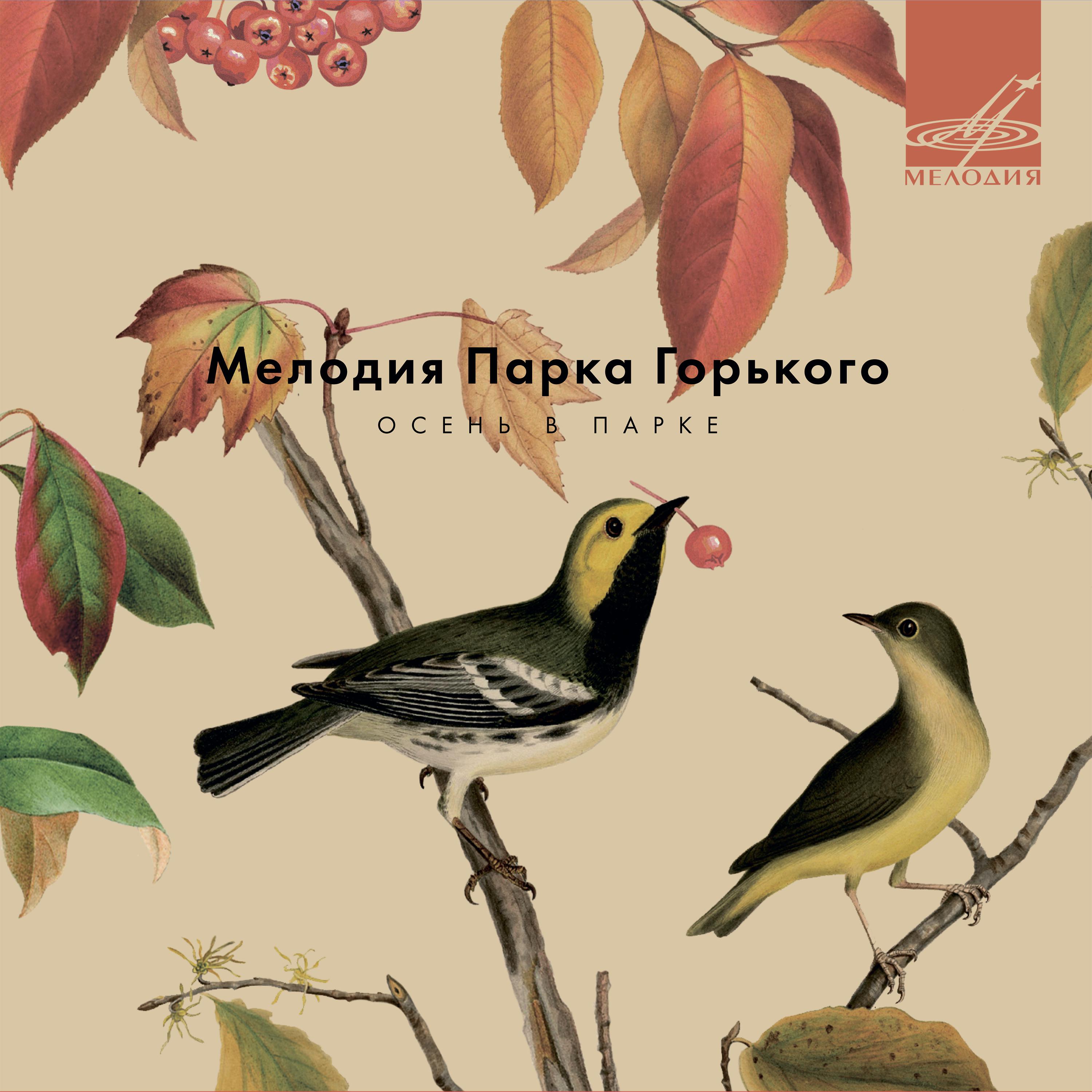 Постер альбома Мелодия парка Горького