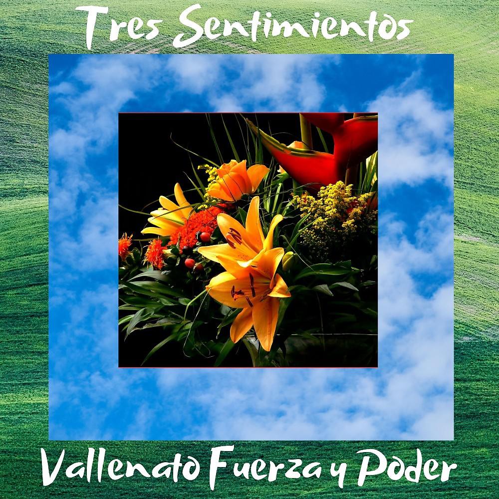 Постер альбома Tres Sentimientos