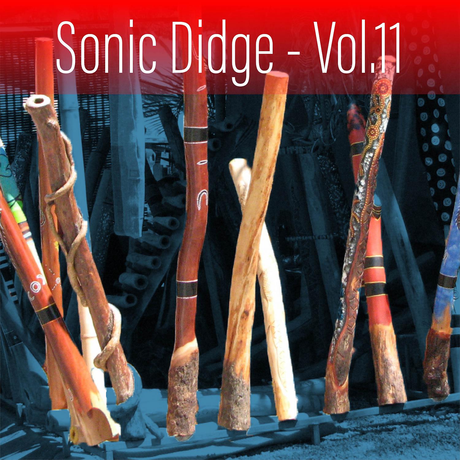 Постер альбома Sonic Didge, Vol. 11