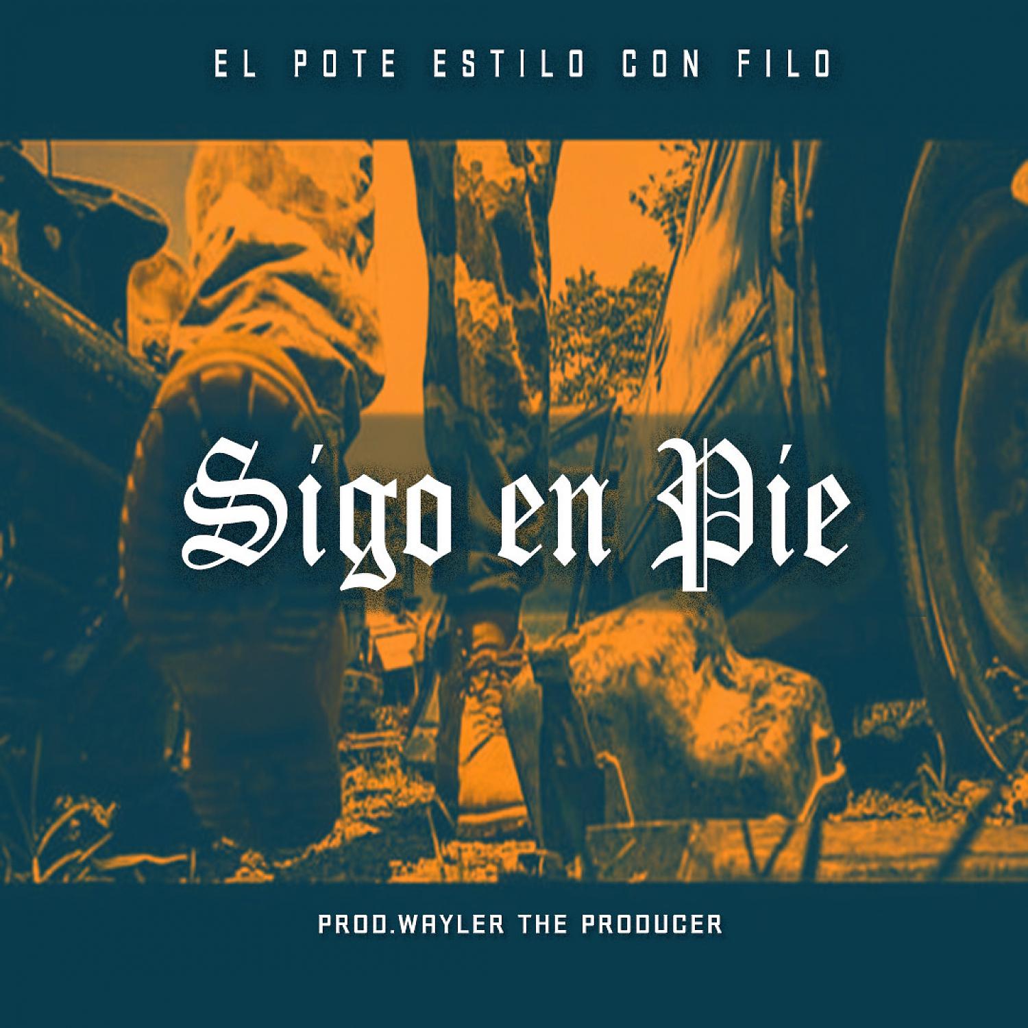 Постер альбома Sigo En Pie
