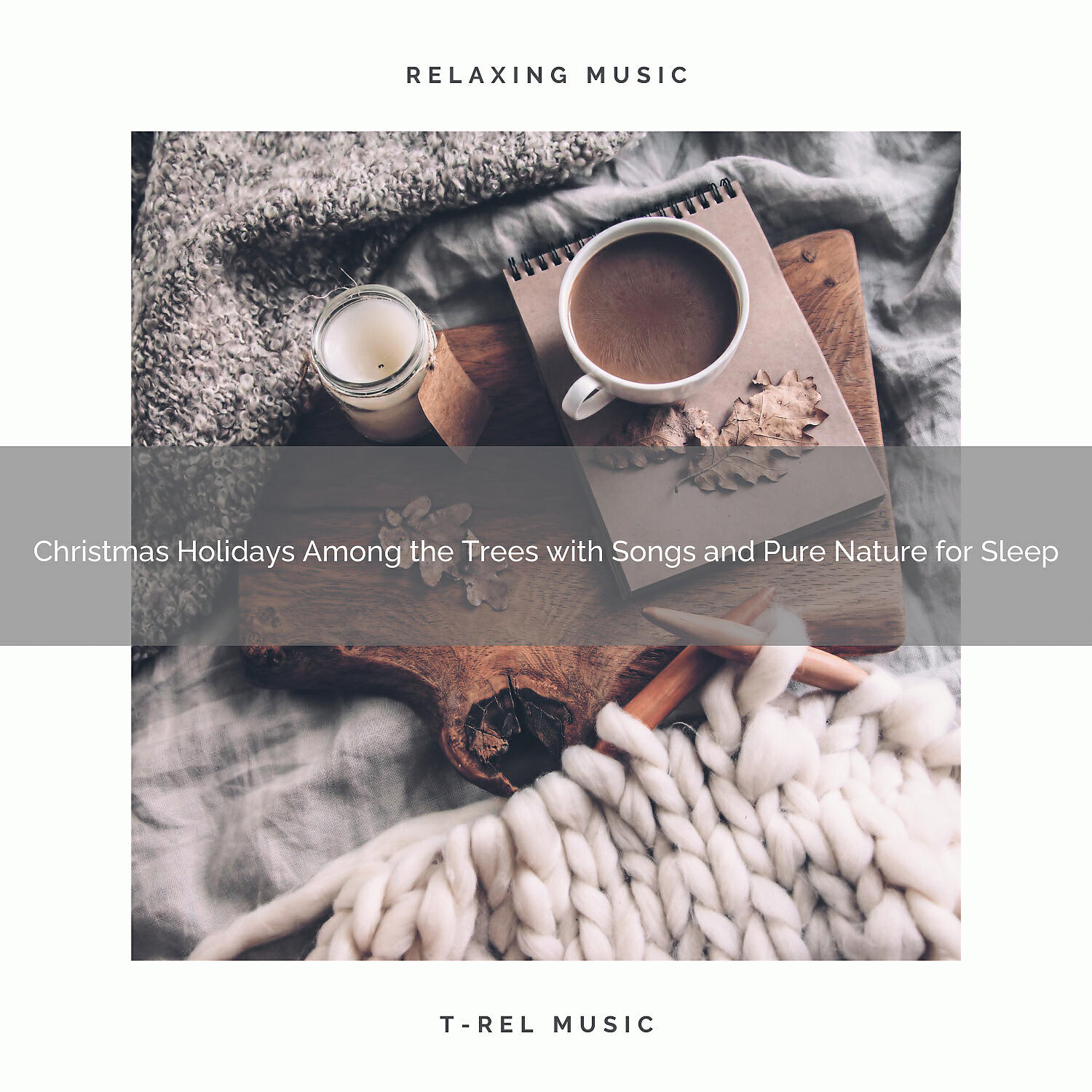 Nature Sounds - Winter Holidays Among the Trees with Songs and Forest Noises for Dreams