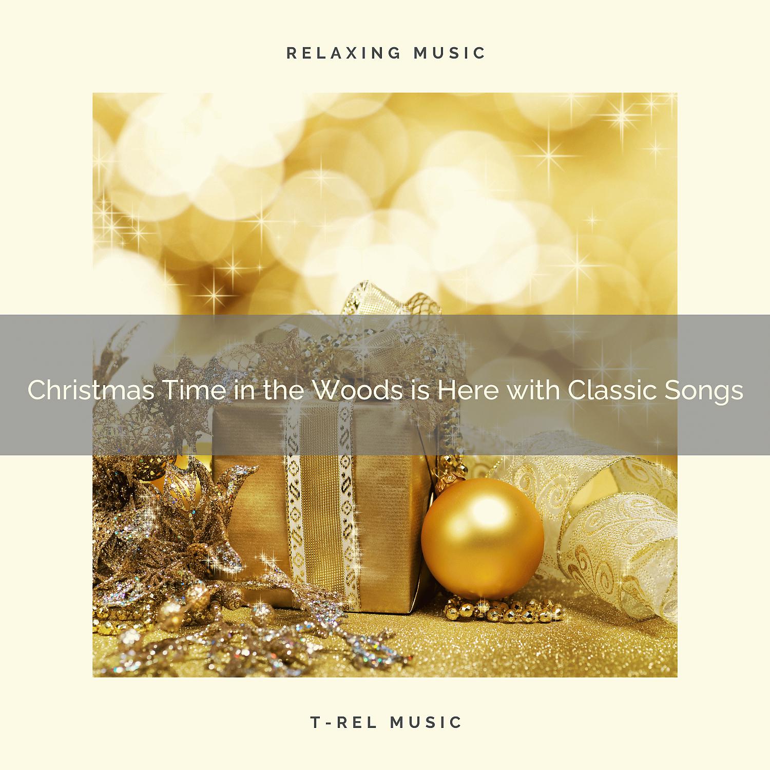 Постер альбома Christmas Time in the Woods is Here with Classic Songs