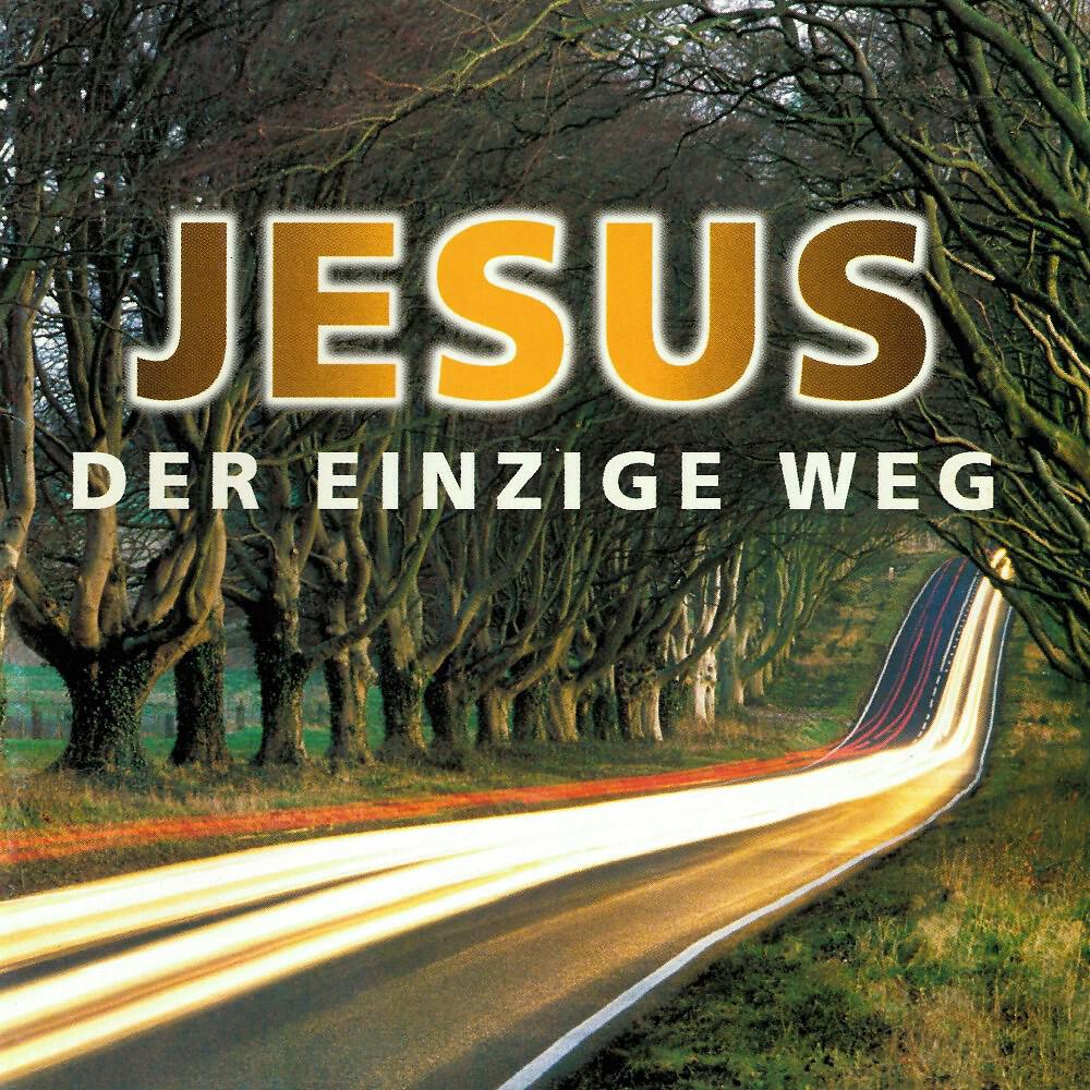 Zionssänger - Meister, es toben die Winde