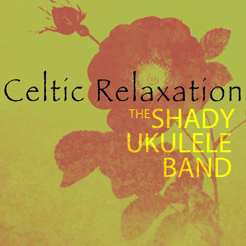 Постер альбома Celtic Relaxation