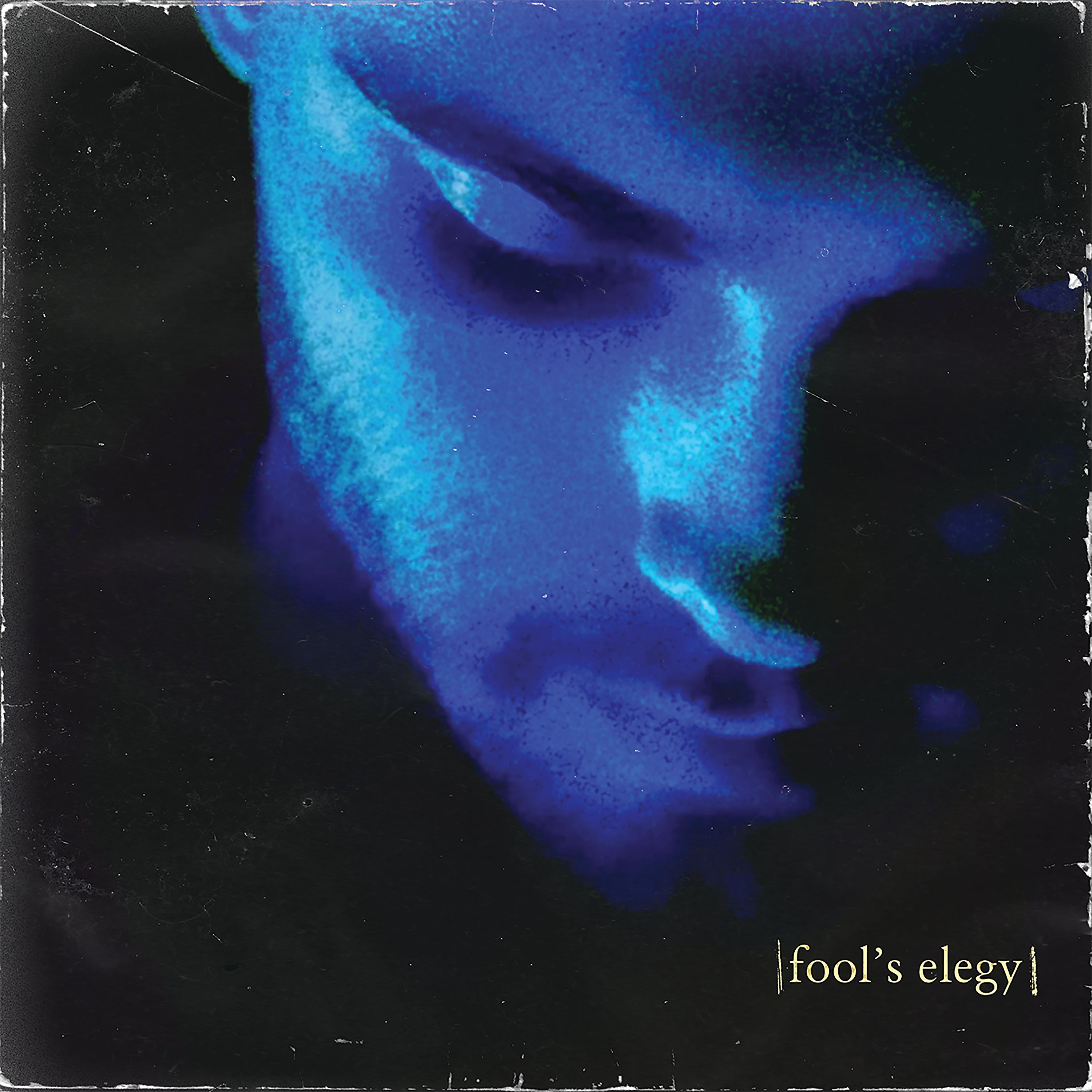 Постер альбома fool's elegy