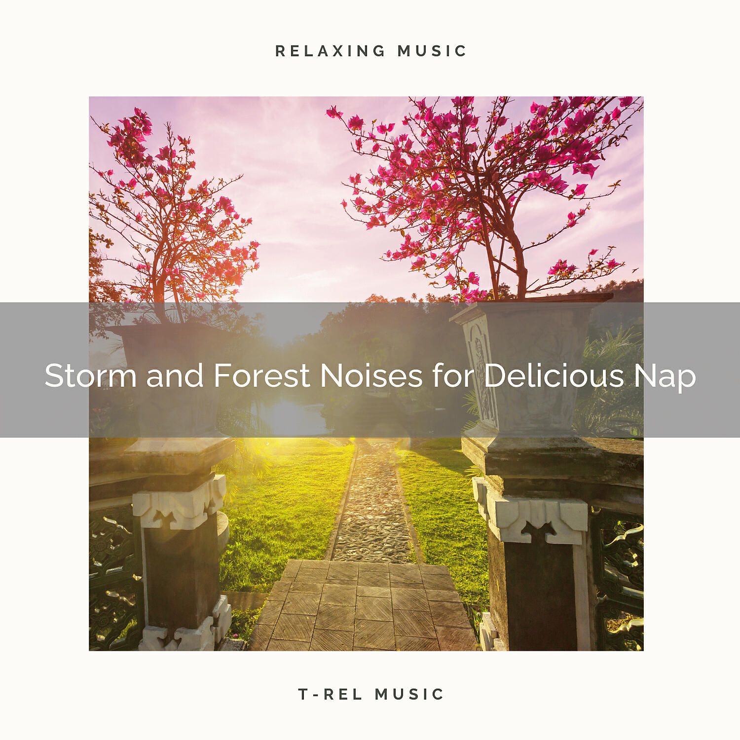 Calming Rain - Storm and Forest Noises for Delicious Nap