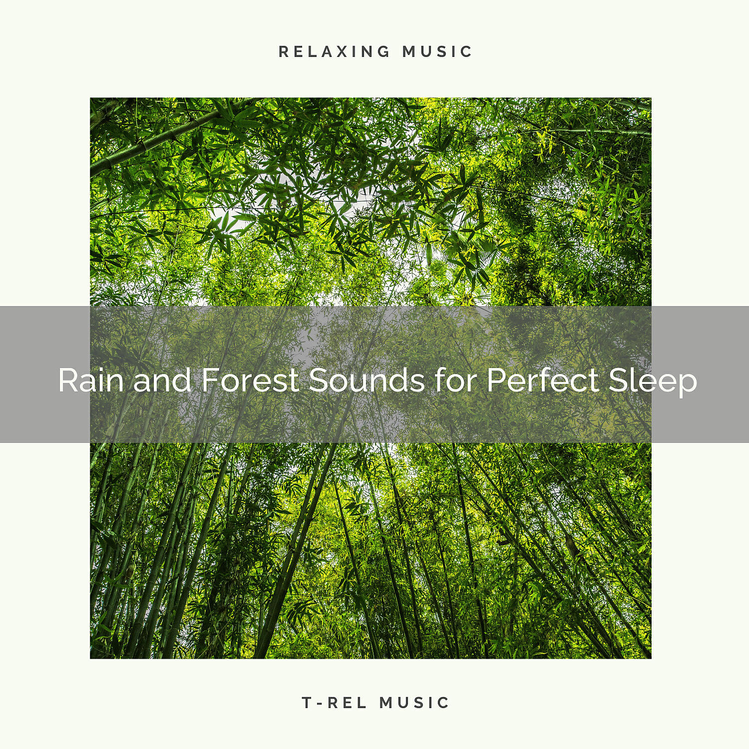 Calm Home Office Rain Sounds - Storm and Forest Tunes for Deep Sleep