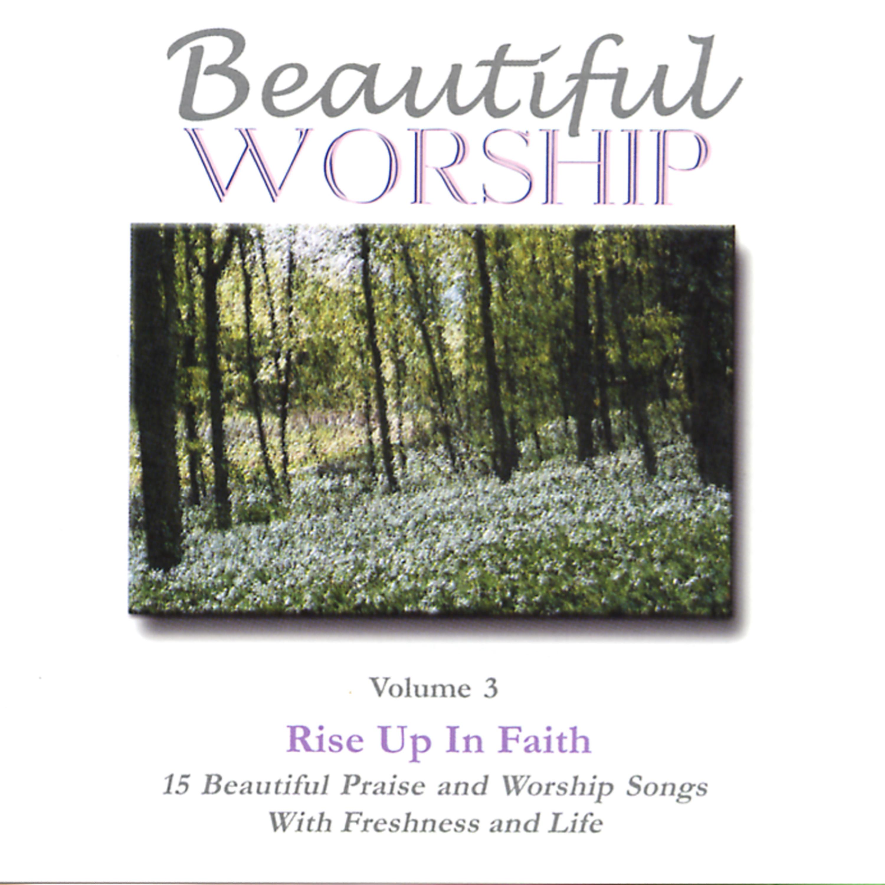 Постер альбома Beautiful Worship, Vol. 3 - Rise Up In Faith
