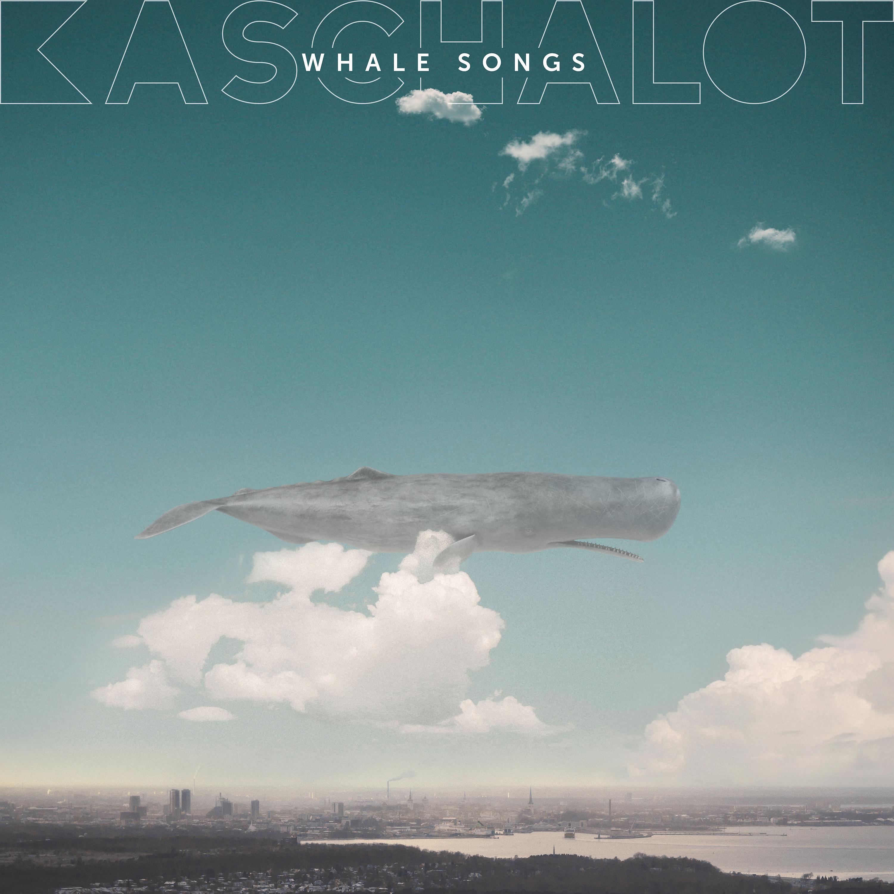 Постер альбома Whale Songs