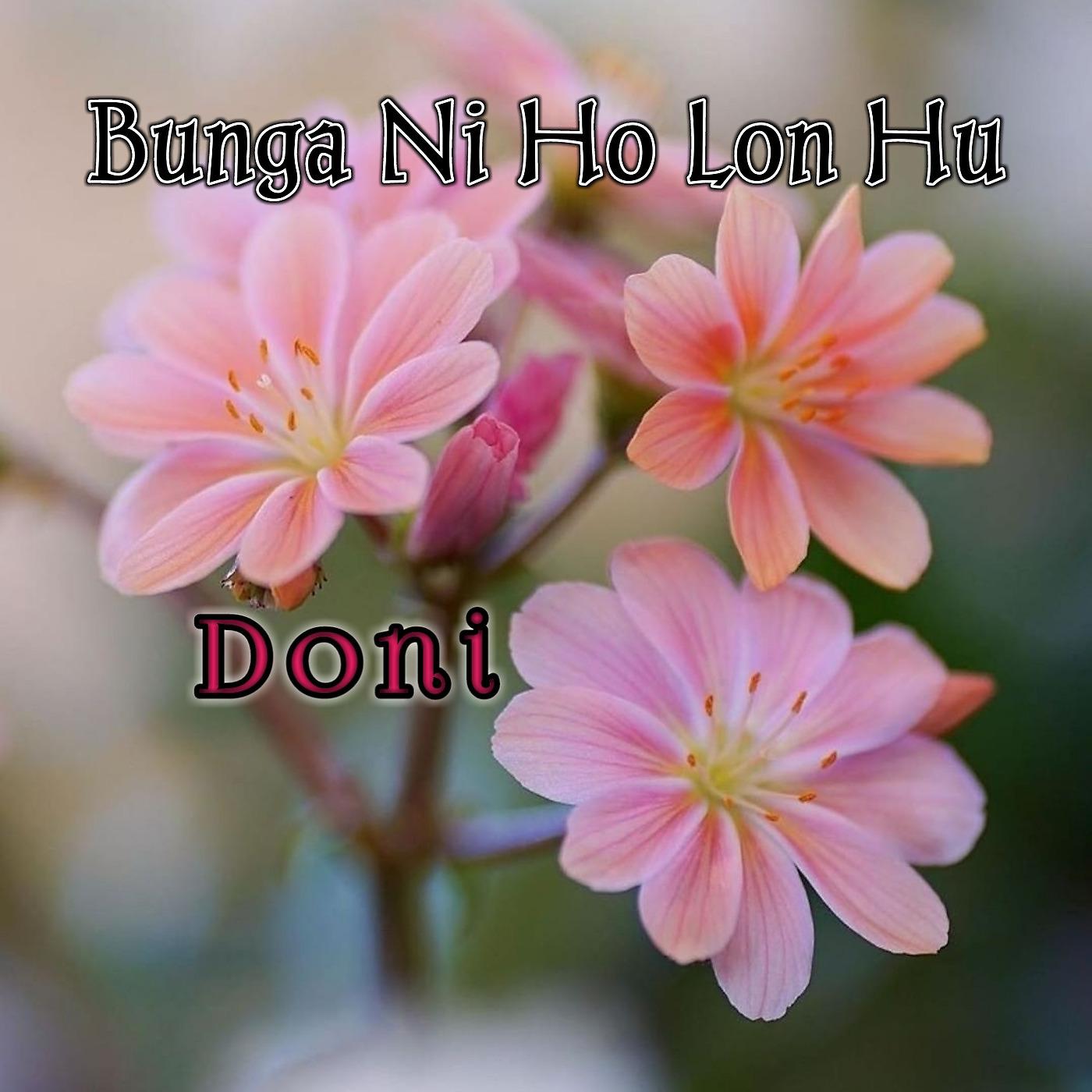 Постер альбома Bunga Ni Ho Lon Hu